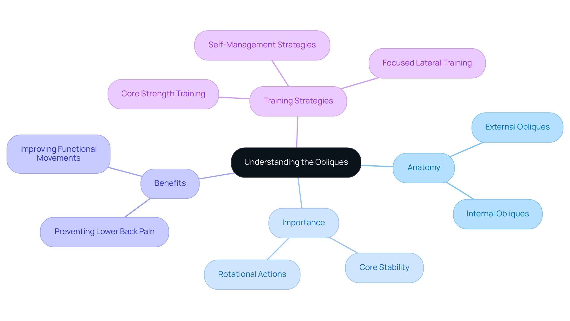 The central node represents the main topic, with branches showing key areas like anatomy, importance, benefits, and training strategies.