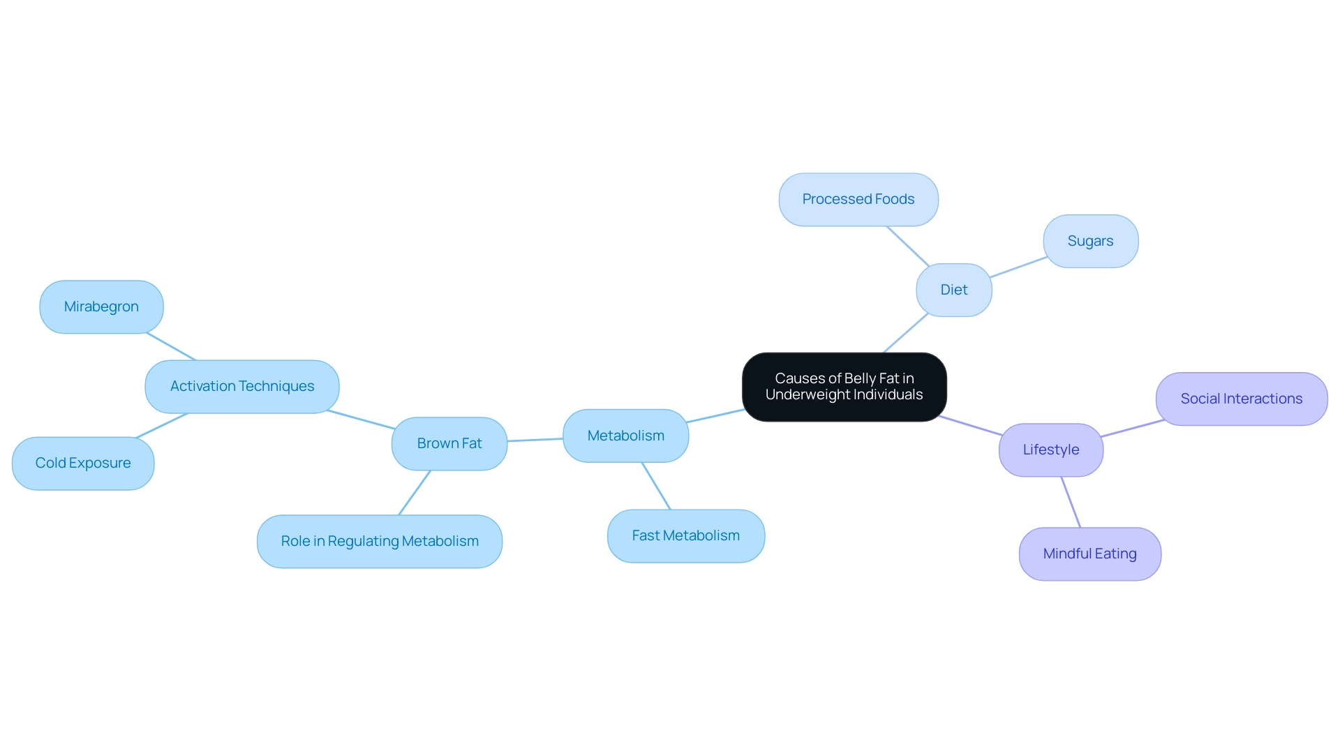 Each branch represents a contributing factor (Metabolism, Diet, Lifestyle) with sub-branches detailing specific elements within each factor.