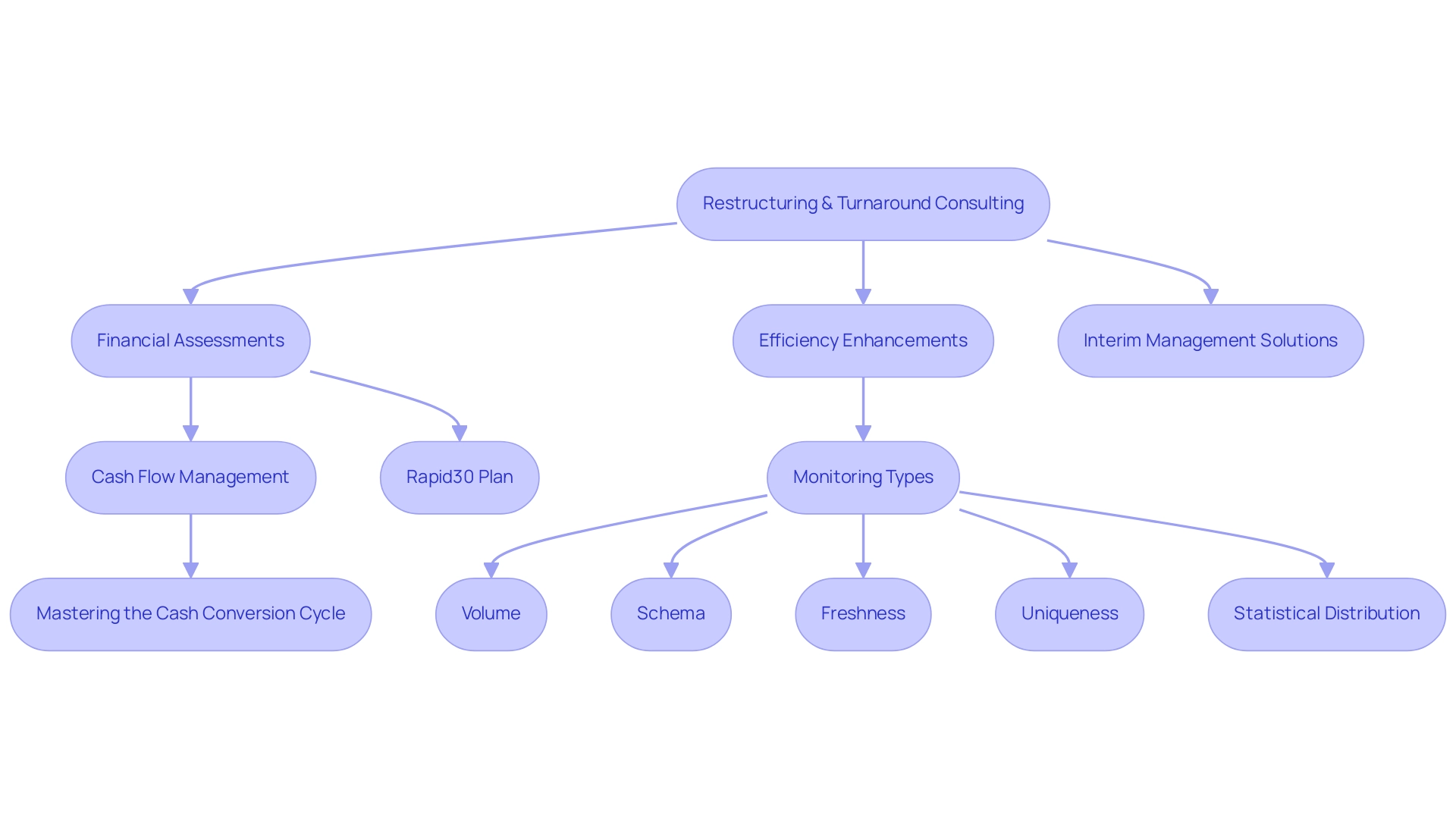 Each box represents a component of the consulting process, with arrows indicating the flow and relationships between different strategies and services.