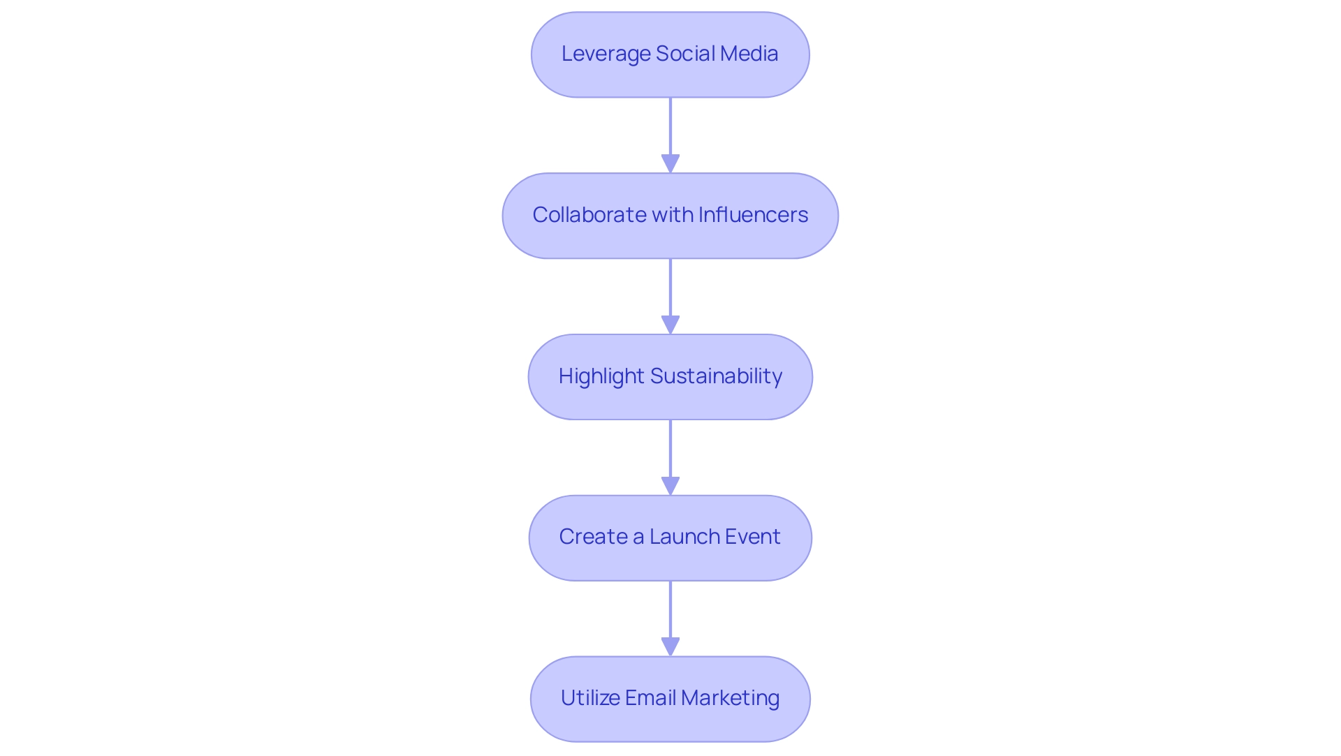 Each box represents a strategy for promotion, with color codings corresponding to specific themes (social media, influencers, sustainability, launch events, email marketing).