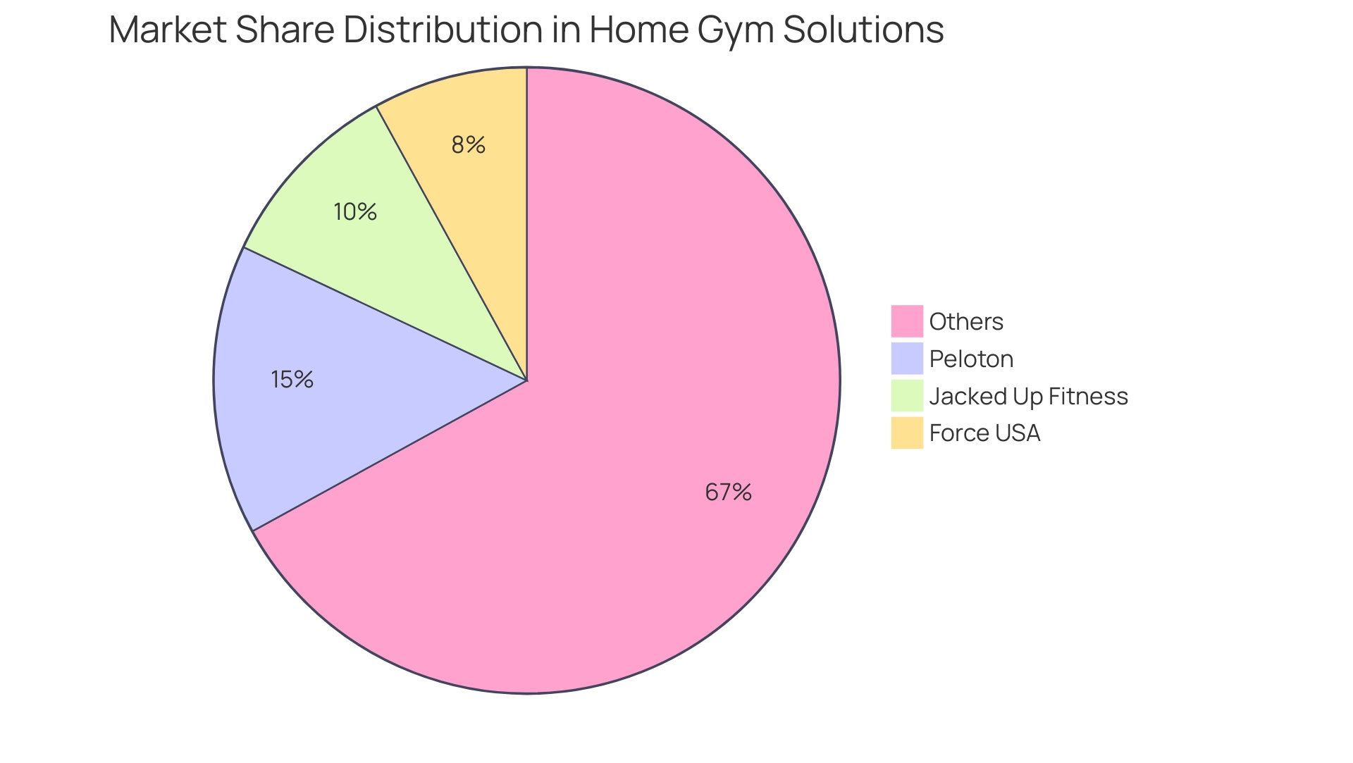 Each segment represents a brand's share of the home gym market, with sizes proportional to their respective market shares.