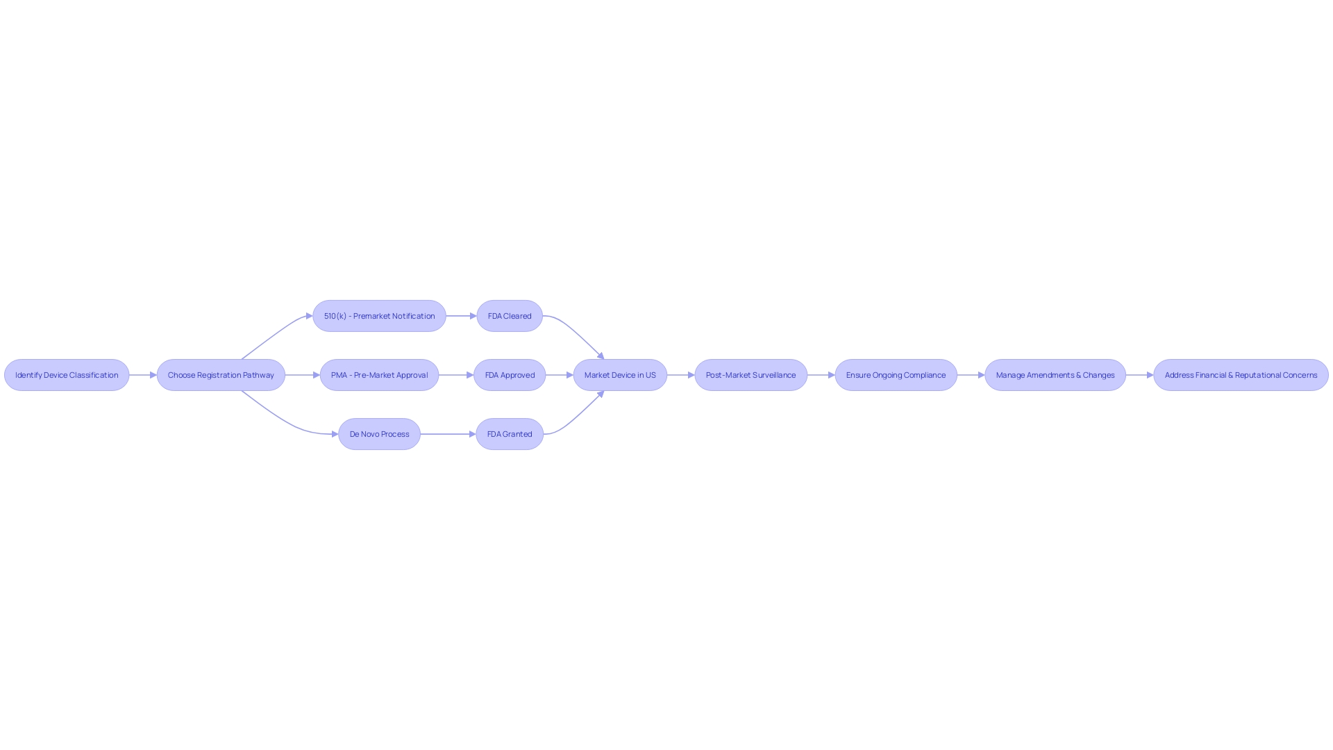 Premarket Approval Process