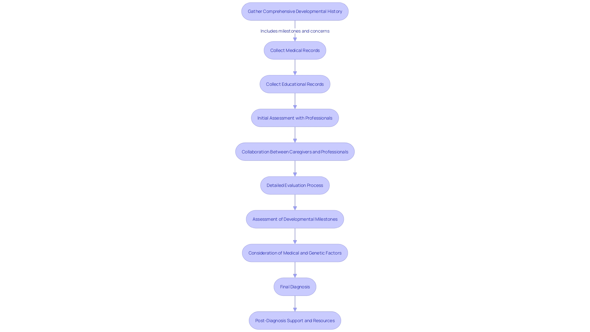 Process Flowchart: Autism Testing Journey