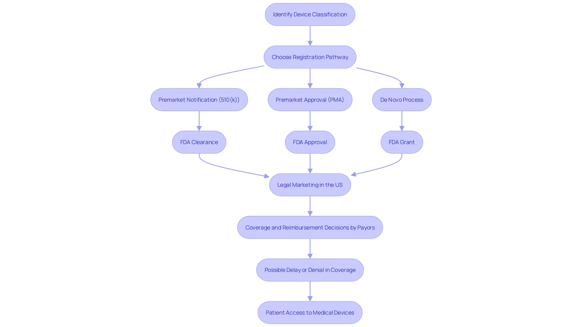 Process Flowchart for FDA Premarket Approval