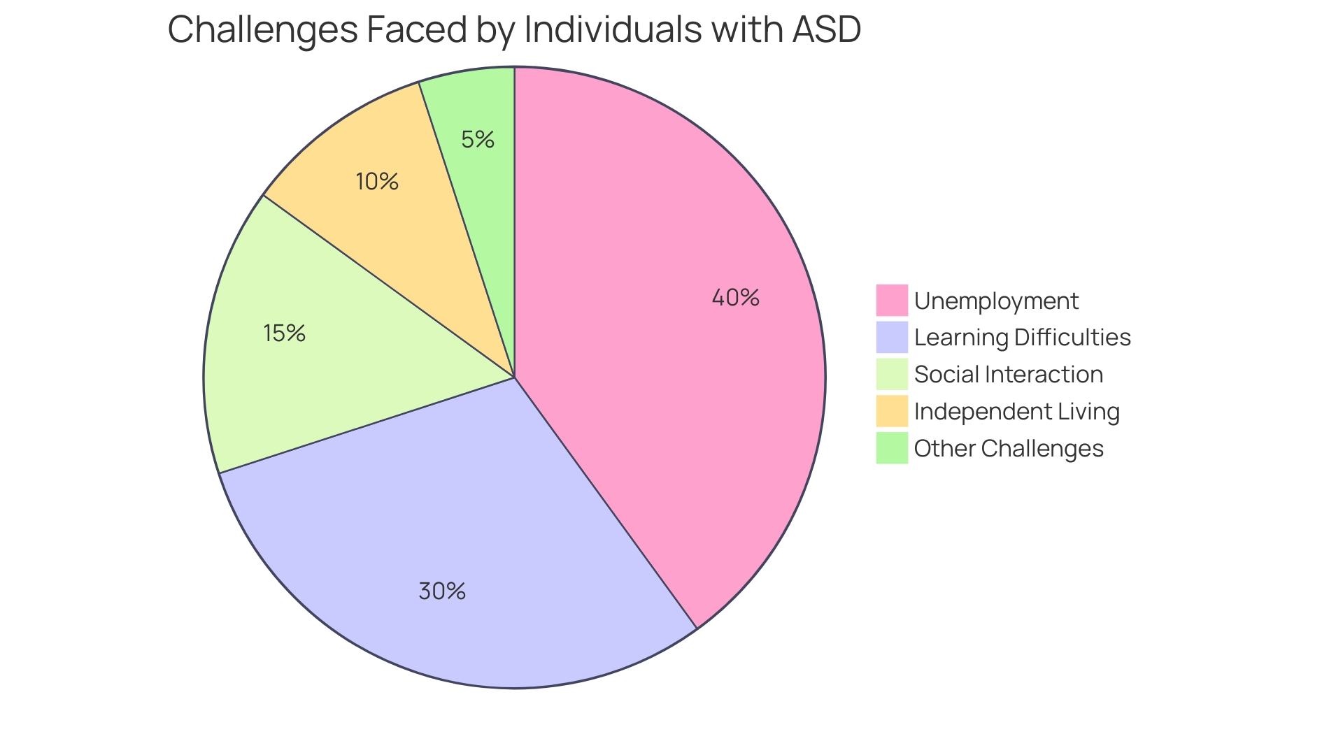 Proportional Distribution of Autism Spectrum Disorder (ASD) Challenges