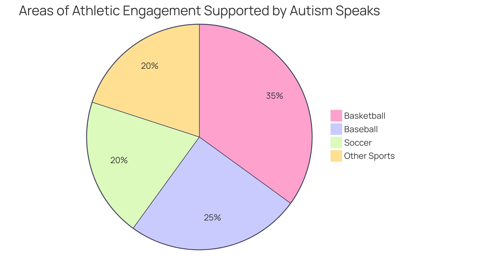 Proportional Representation of Athletic Engagement Areas Supported by Autism Speaks