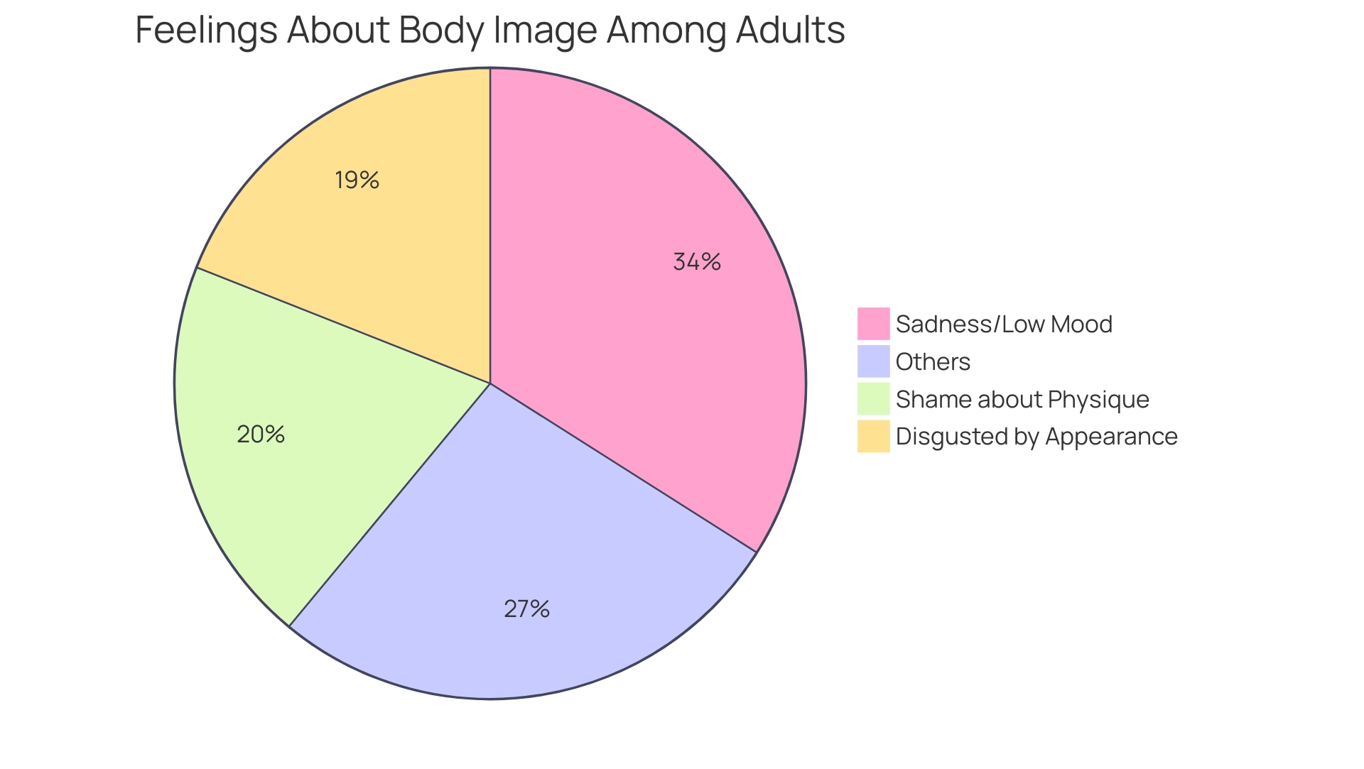 Each segment represents a different feeling experienced by adults regarding their body image, with sizes reflecting the percentage of individuals reporting these feelings.