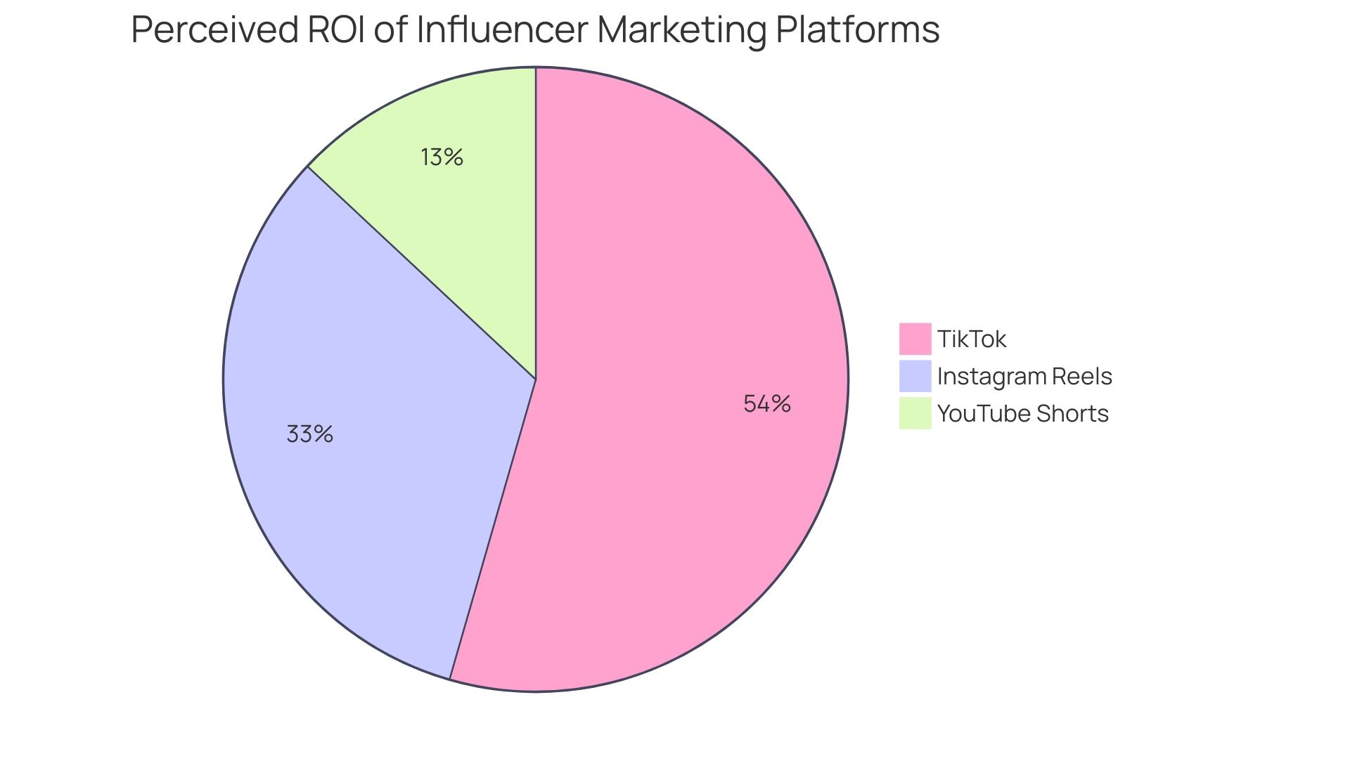 The pie slices represent different platforms, with their sizes indicating the percentage of marketers who believe each platform provides the highest ROI.