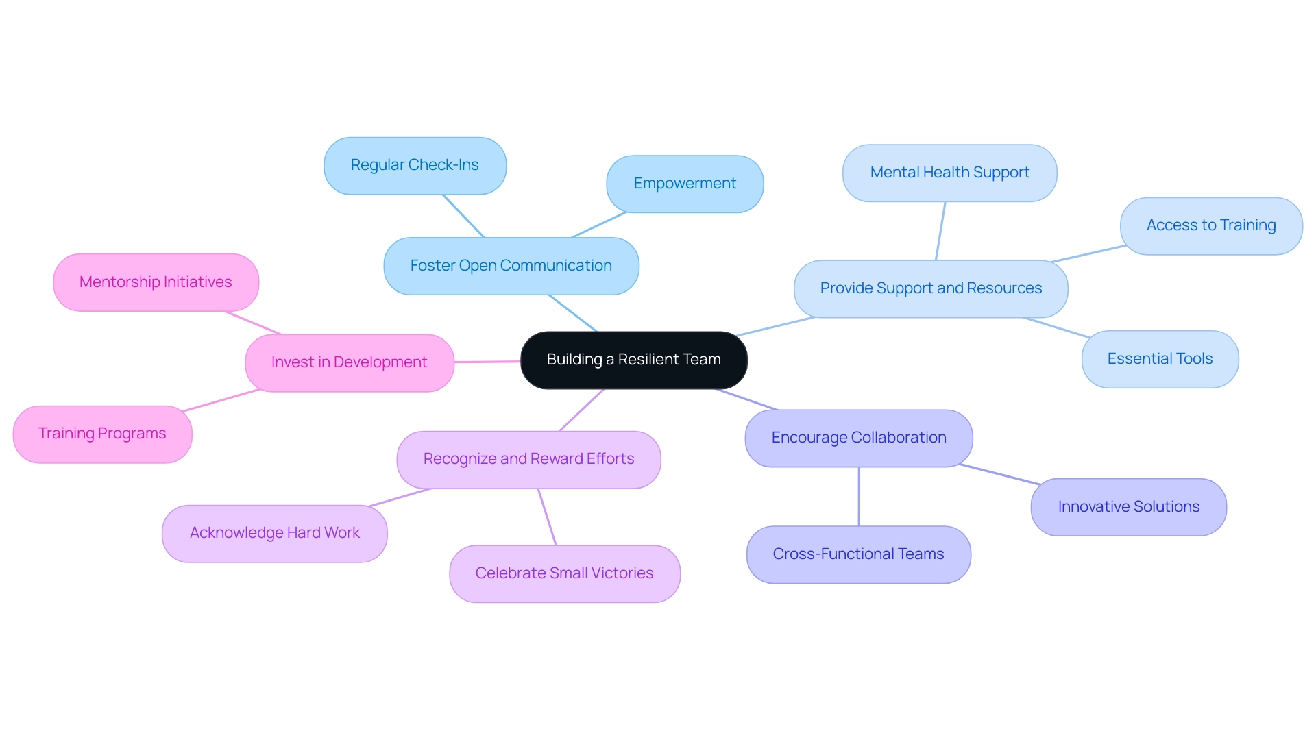 Each branch represents a strategy for resilience; colors differentiate the strategies, and sub-branches summarize key points related to each strategy.