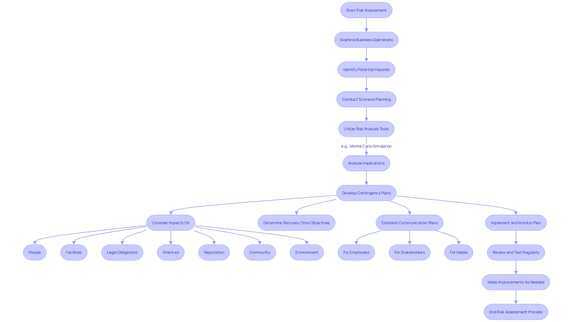 Risk Assessment and Contingency Planning Process