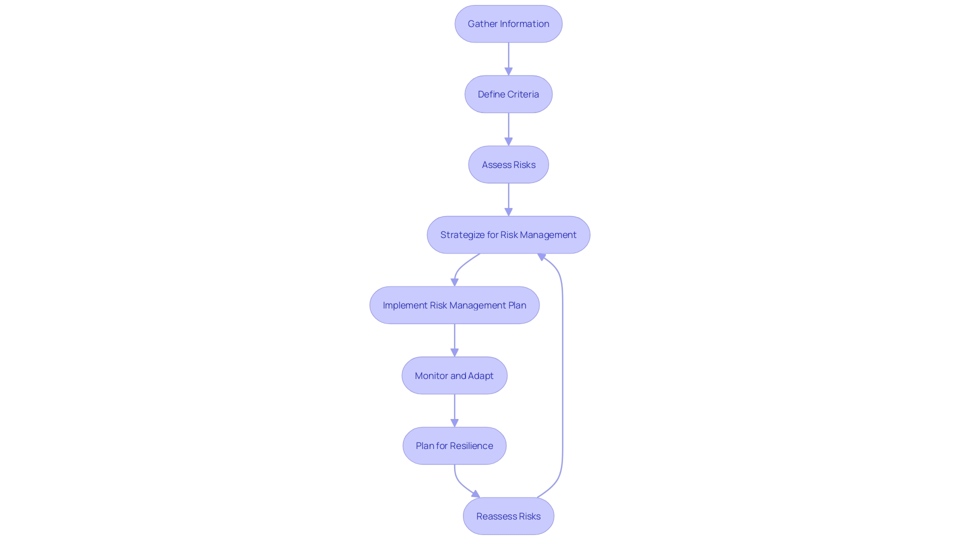 Risk Management Process