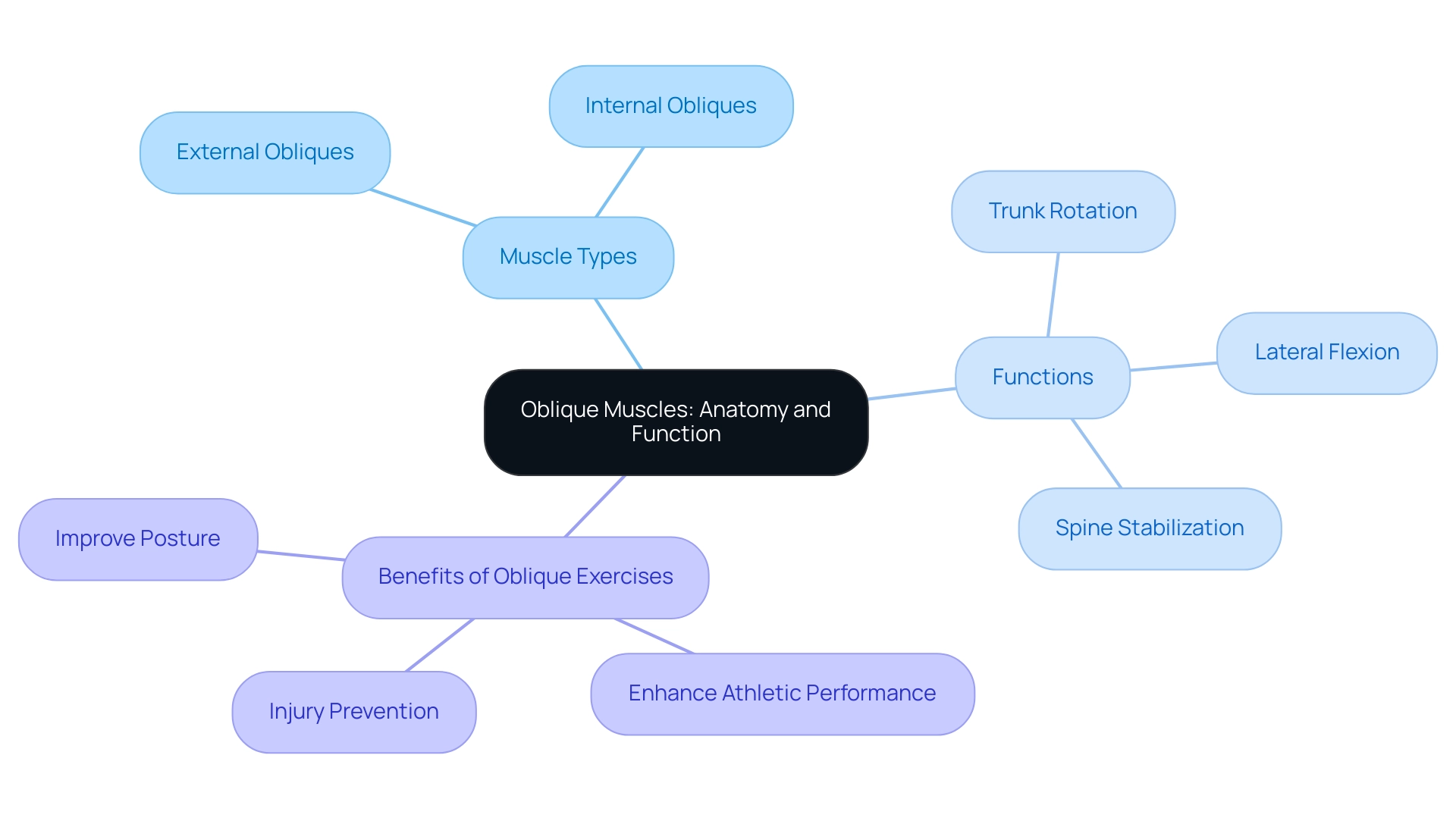 The central node represents the oblique muscles, with branches indicating muscle types, functions, and benefits of exercises targeting these muscles.