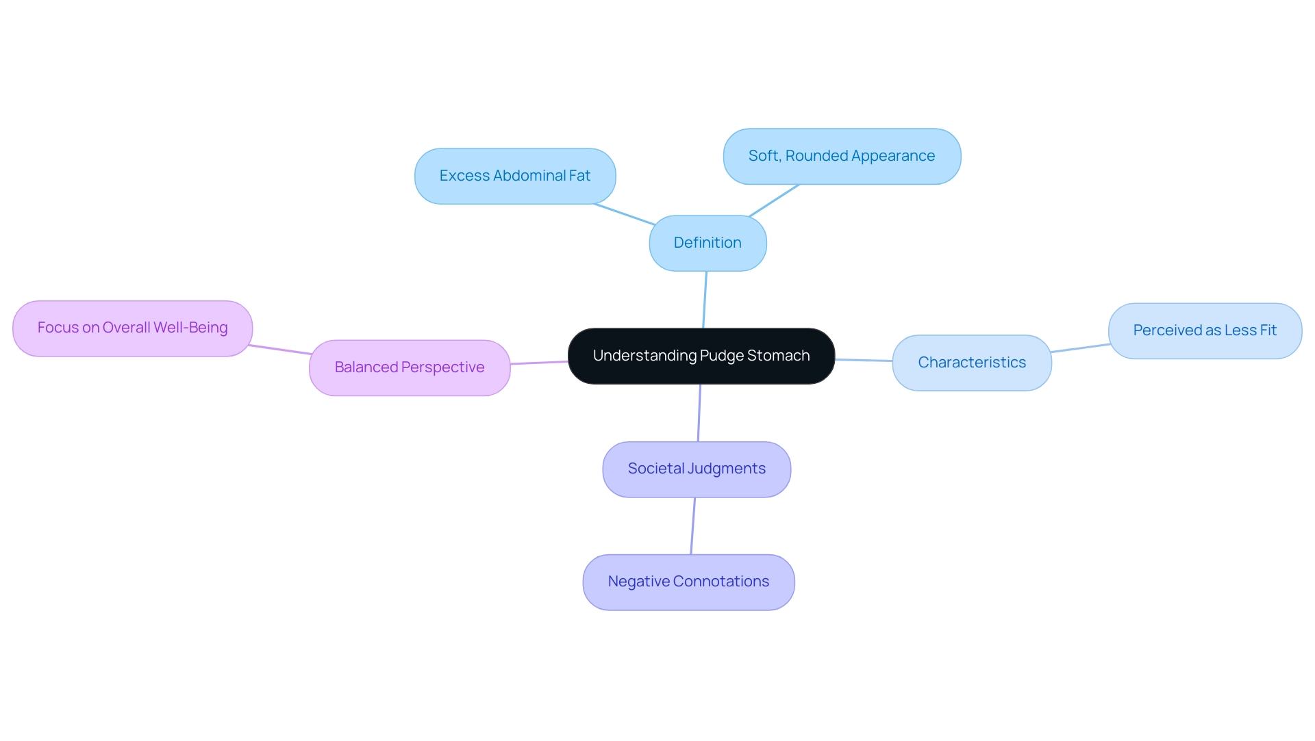 The central node represents the term 'pudge stomach,' with branches indicating its definition, characteristics, societal judgments, and the balanced perspective discussed in the content.