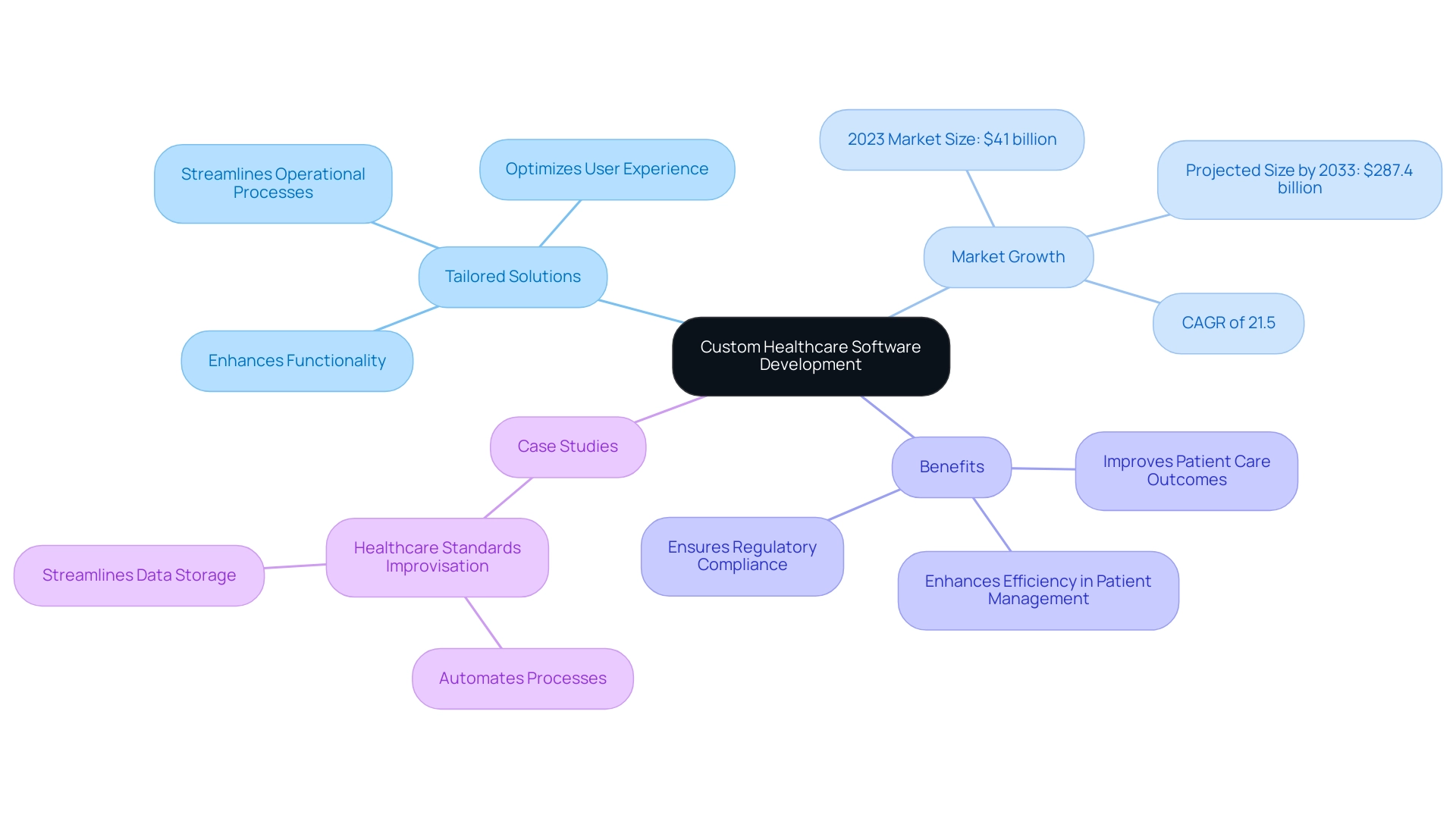 Each branch represents a key area of custom healthcare software development, with sub-branches detailing specific information related to that area.