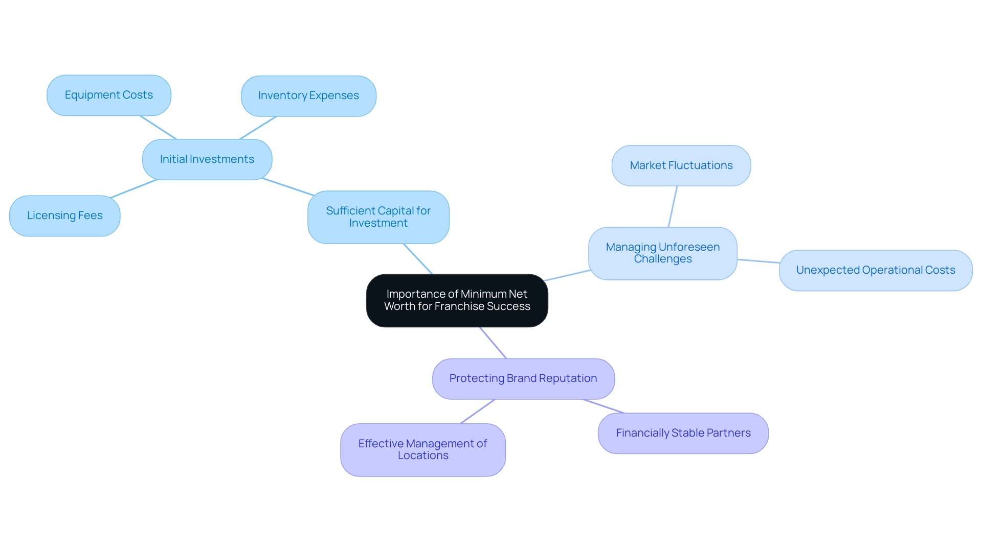 The central node represents the overall importance of net worth, with branches indicating key reasons and their respective details.