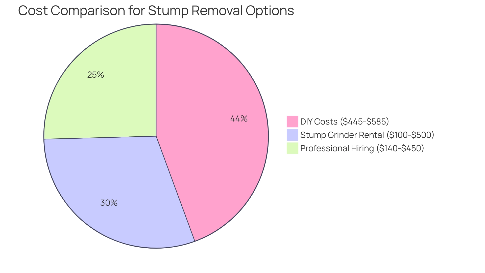 Each segment represents a cost option: Rental, Hiring Professionals, and DIY, with sizes indicating the average cost ranges.