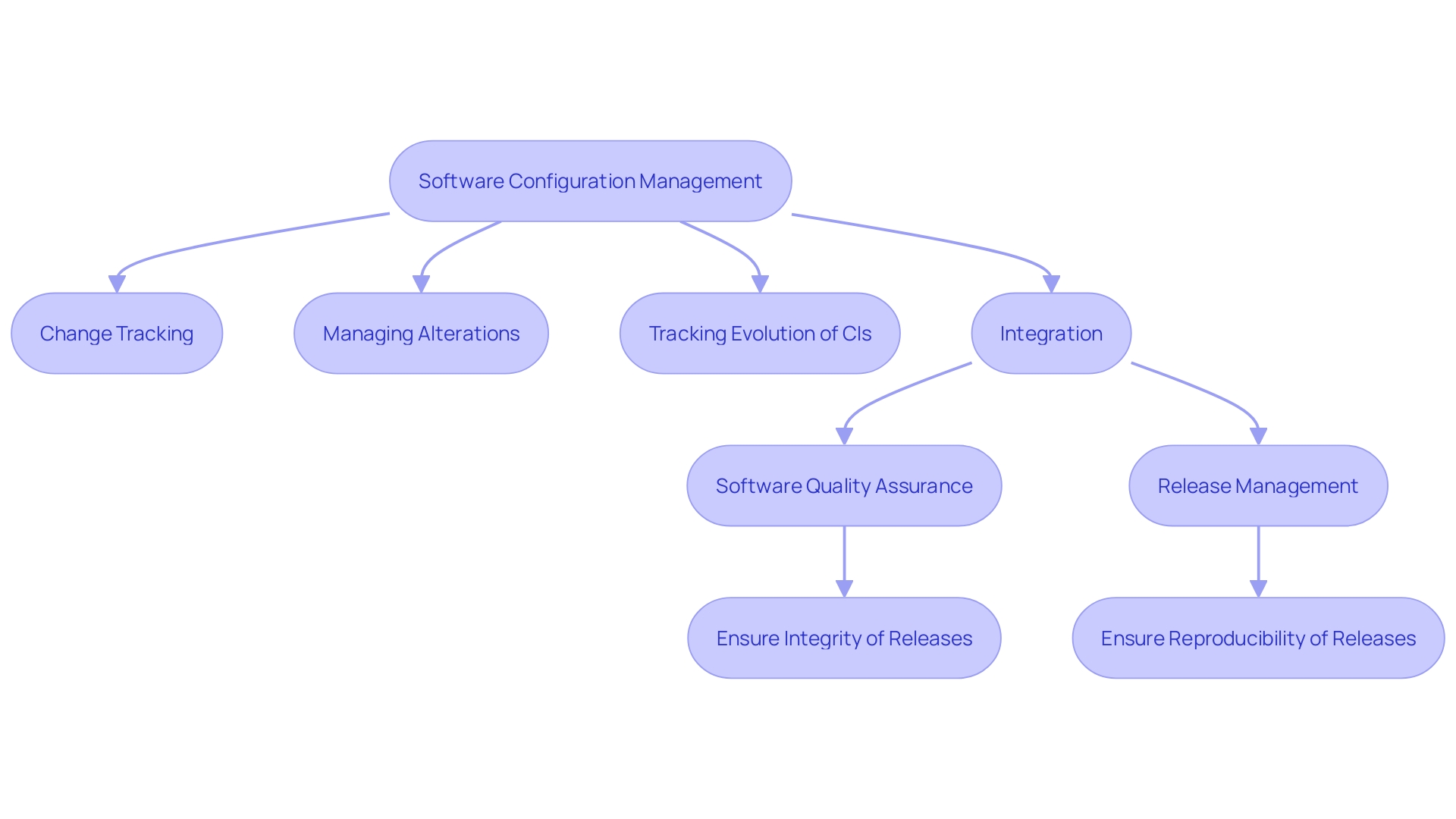 Software Configuration Management Process Flow