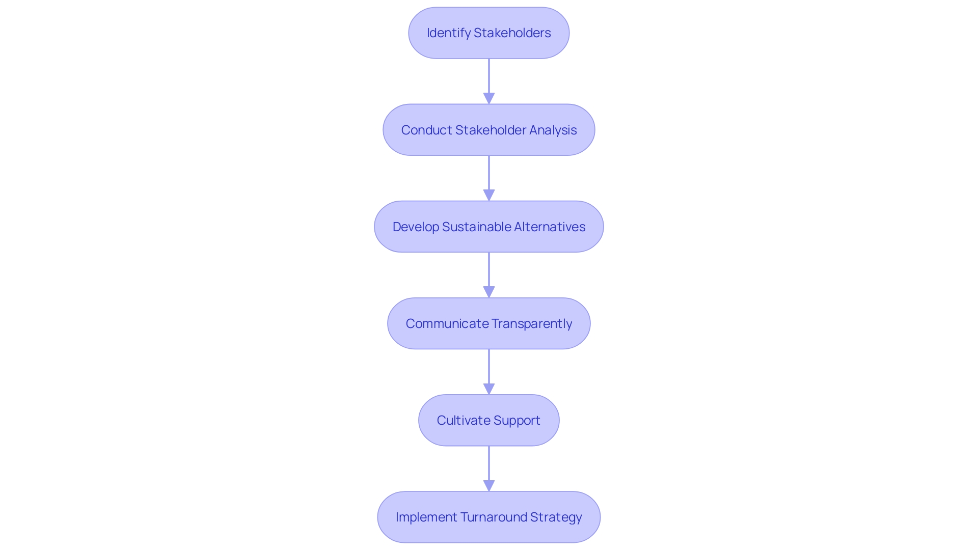 Stakeholder Engagement Process