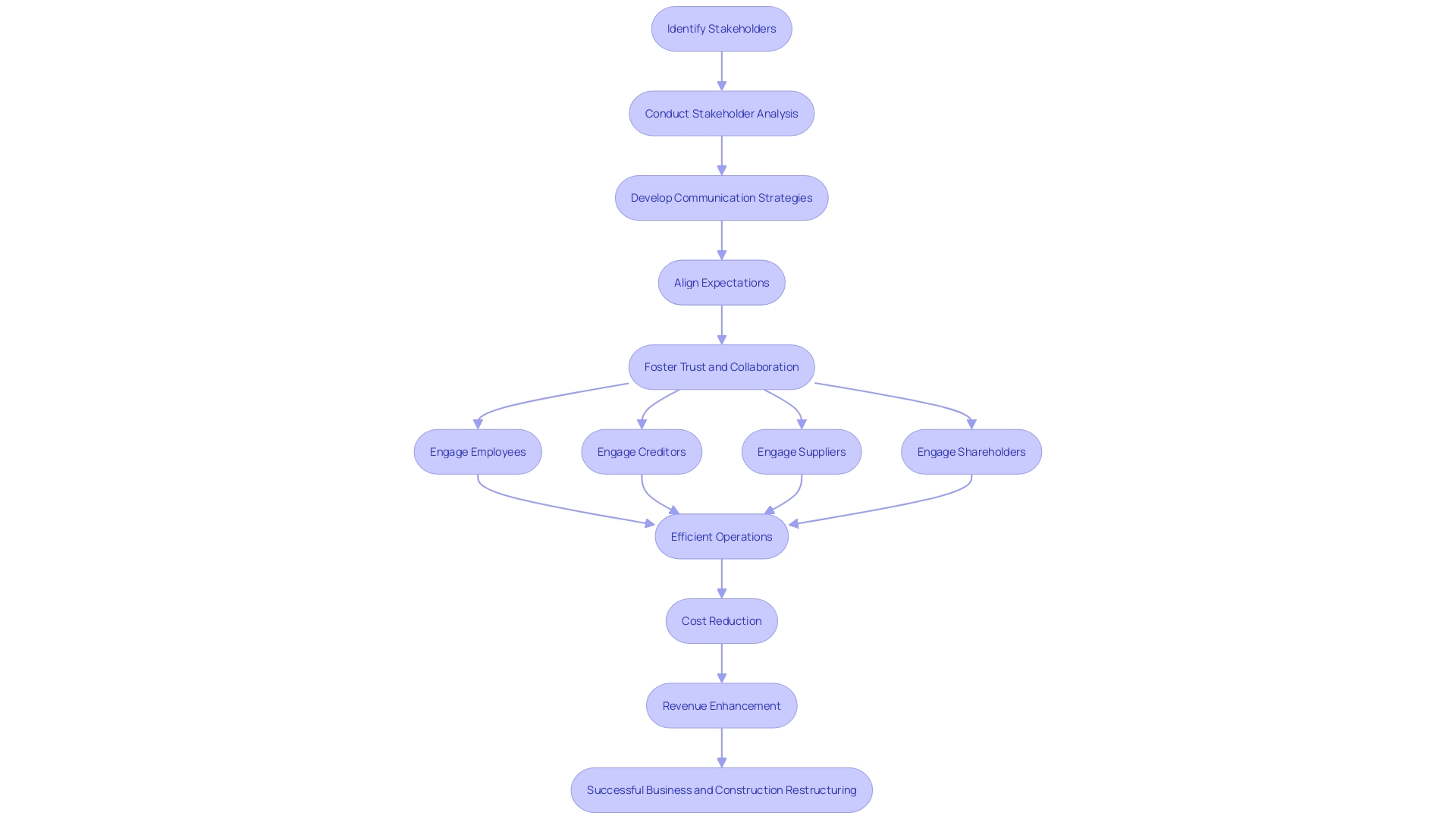 Stakeholder Engagement Process