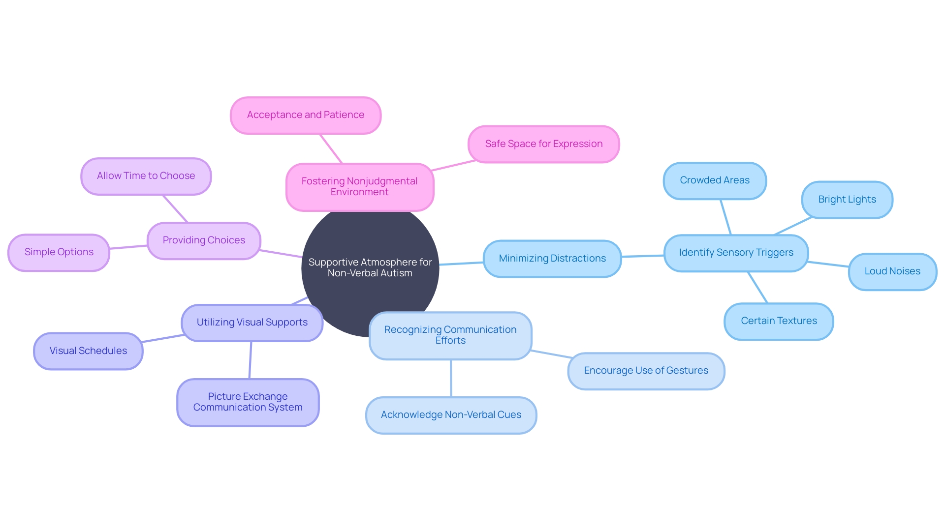 Supportive Strategies for Non-Verbal Individuals with Autism