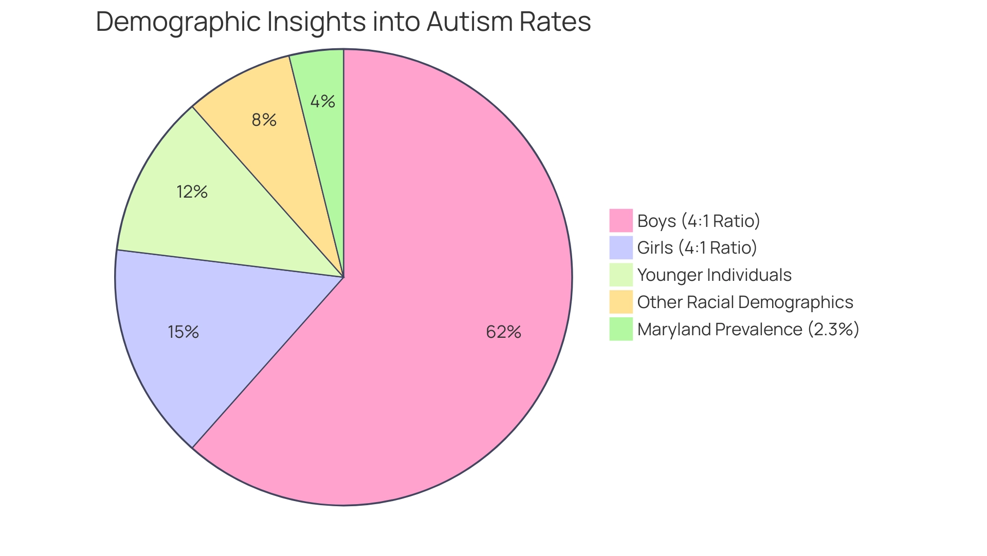 Each slice of the pie represents a demographic factor (gender, age, race) with its size corresponding to the proportion of autism diagnoses within that category.