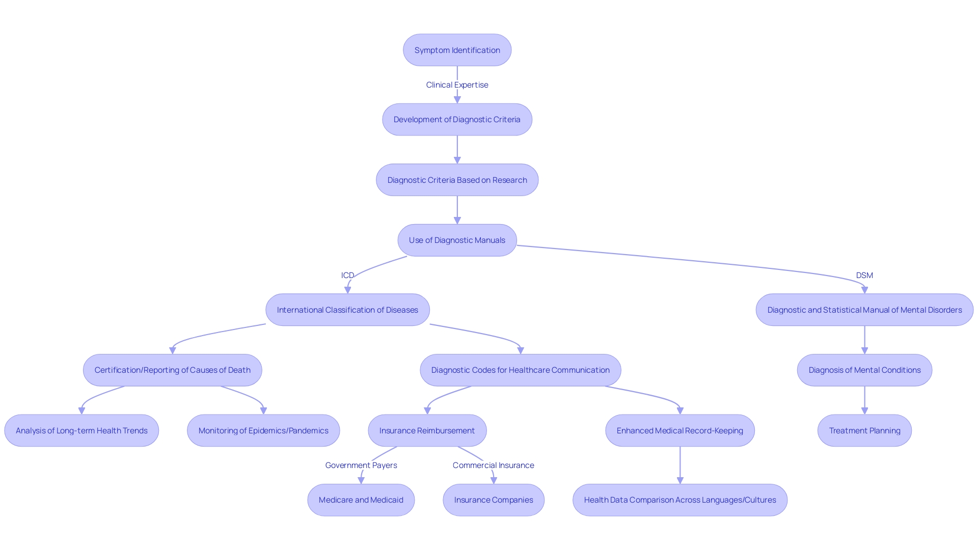 The Diagnostic Process