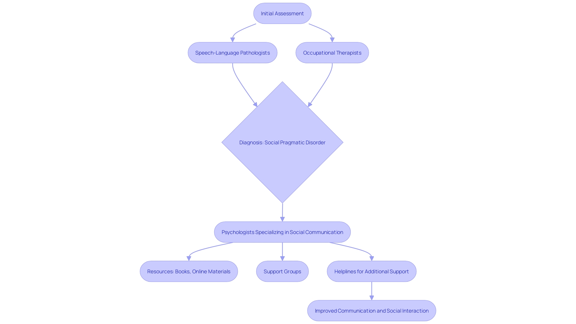 The Flowchart of Social Pragmatic Disorder Support Journey