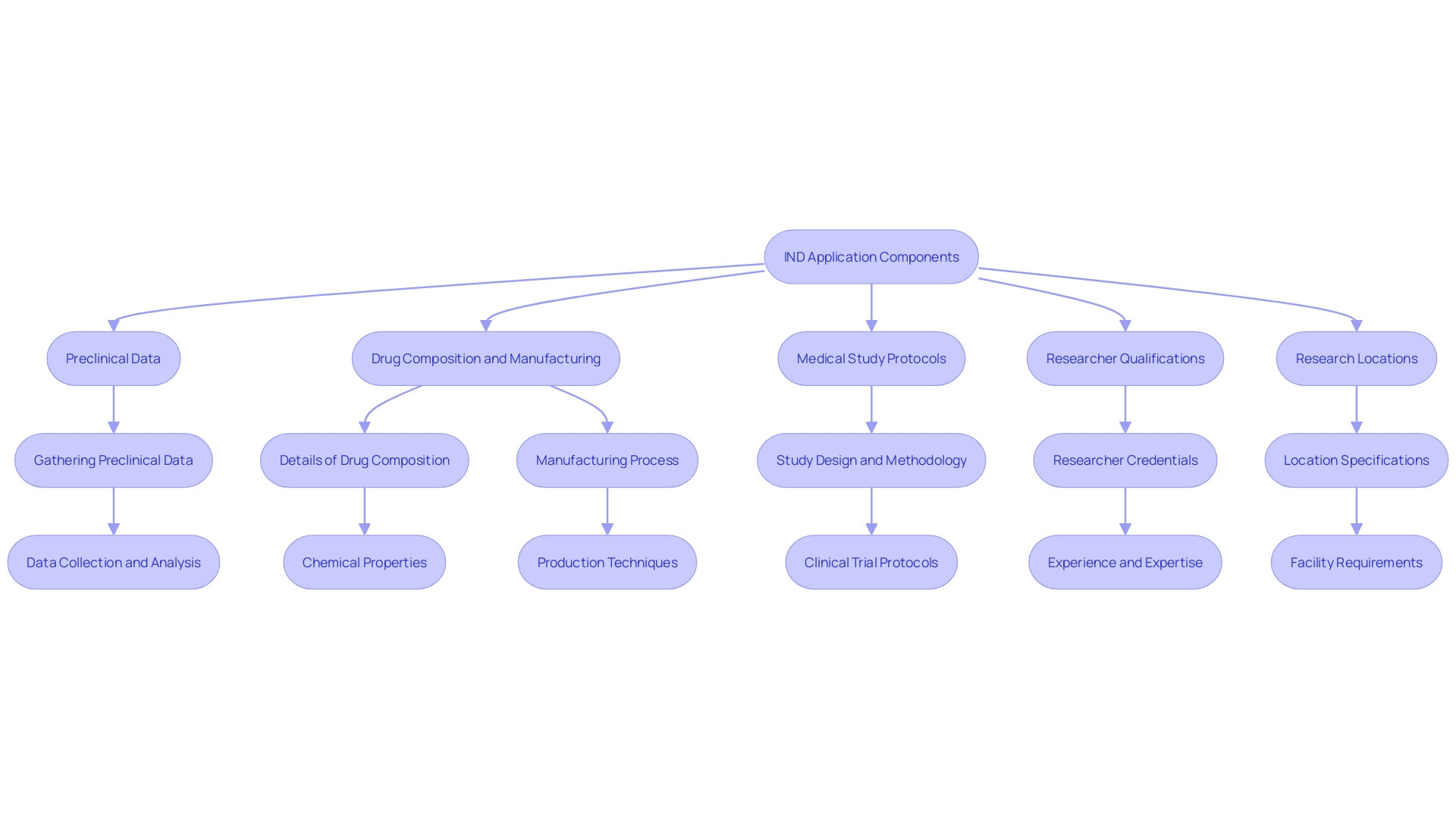 This flowchart illustrates the critical components of an Investigational New Drug (IND) application and their sequential relationship in the FDA evaluation process.