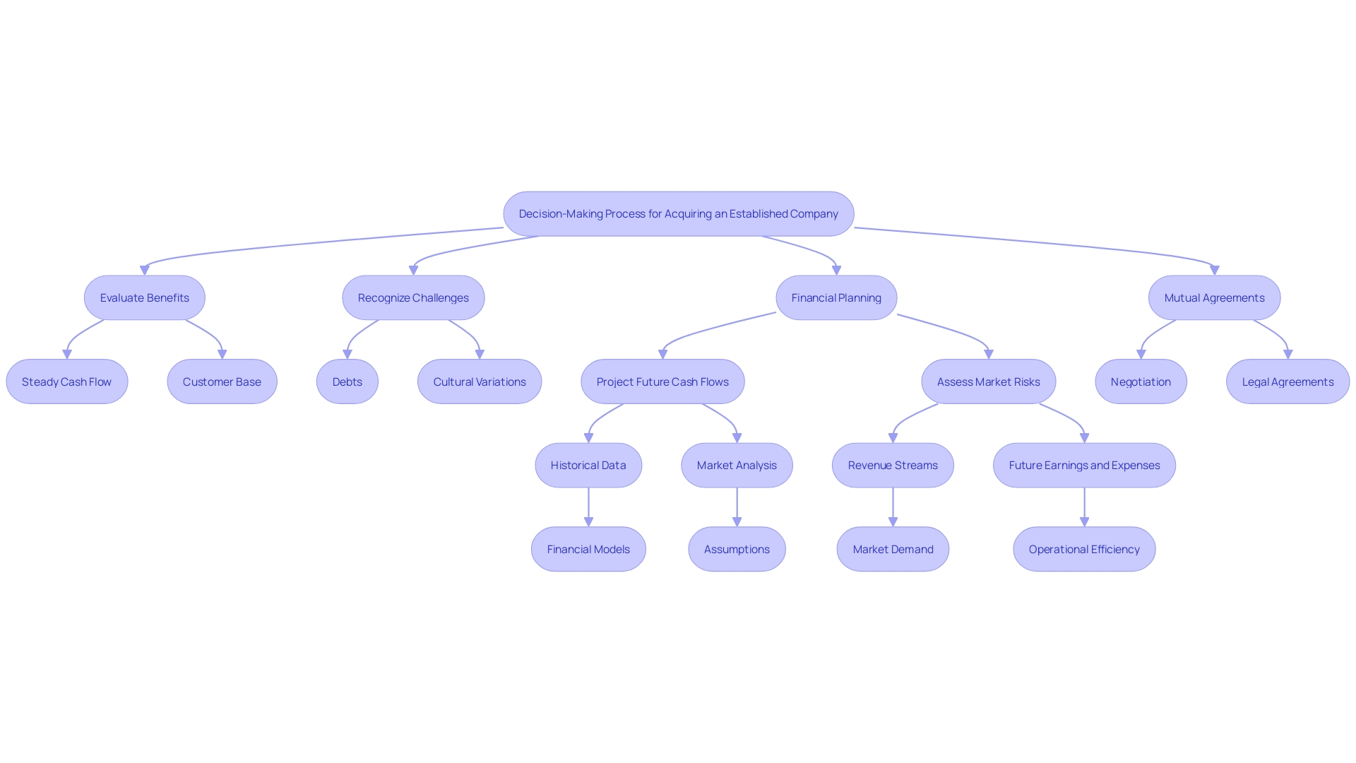 This flowchart illustrates the decision-making process for purchasing an established company, highlighting key factors and considerations.