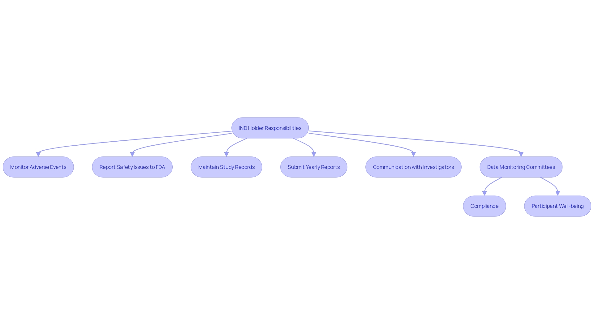 This flowchart illustrates the responsibilities of an IND holder in ensuring participant safety and regulatory compliance during clinical research.