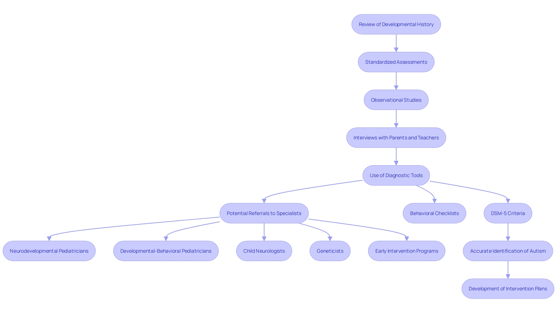 This flowchart illustrates the steps involved in the autism evaluation process, highlighting the sequence from developmental history review to specialist referrals.