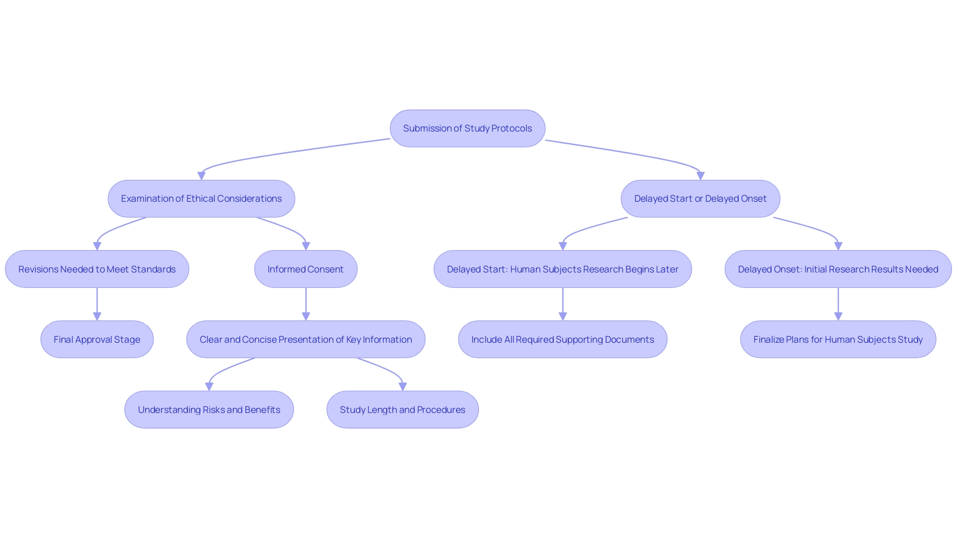 This flowchart illustrates the steps involved in the Institutional Review Board (IRB) review process for studies involving human subjects, highlighting key components such as protocol examination, revisions, and the importance of informed consent.