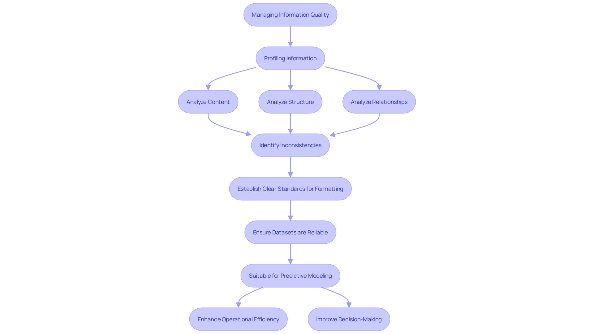 This flowchart illustrates the structured method for managing information quality, highlighting key steps from data profiling to establishing standards for effective decision-making.