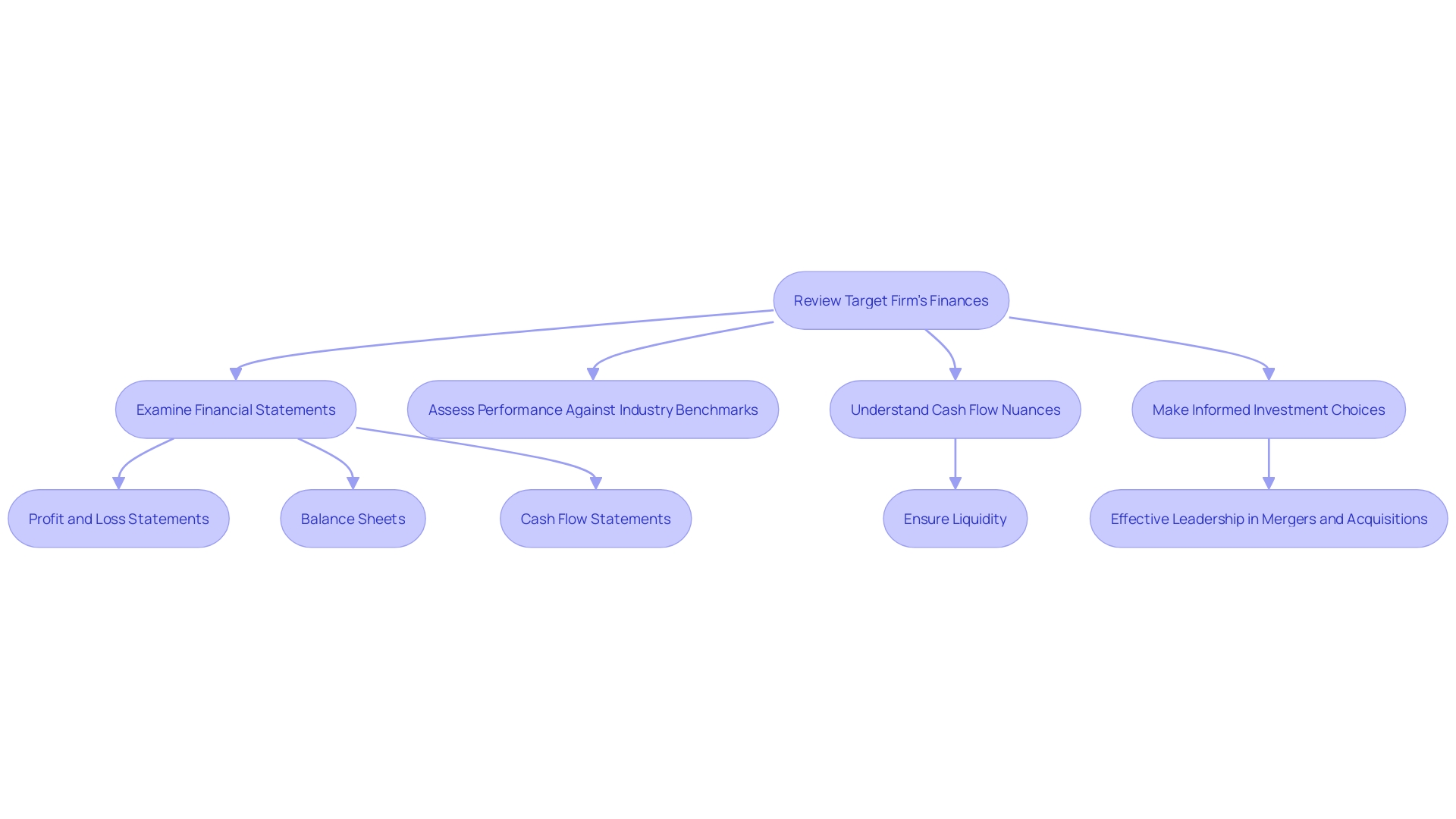 This flowchart outlines the essential steps for conducting a thorough financial examination of a target firm before making an investment decision.