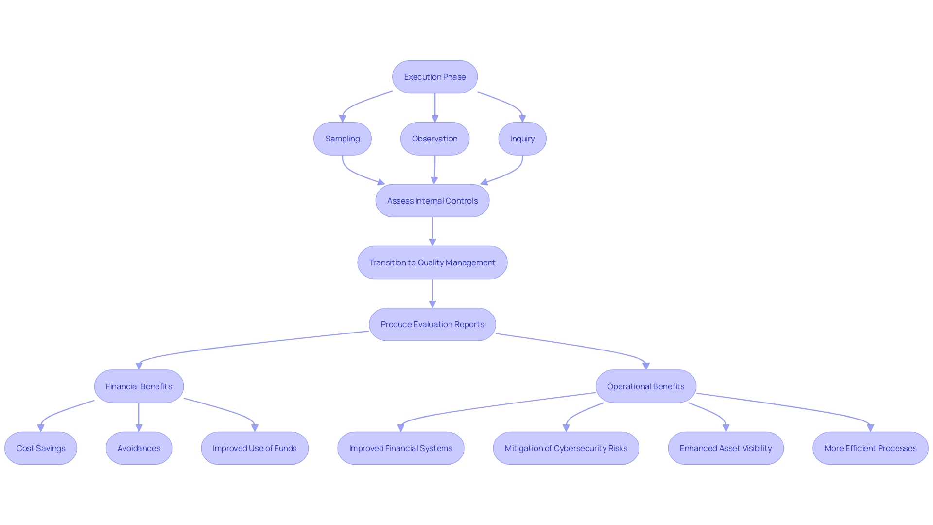 This flowchart outlines the process auditors follow during the execution phase, highlighting key methods and outcomes.