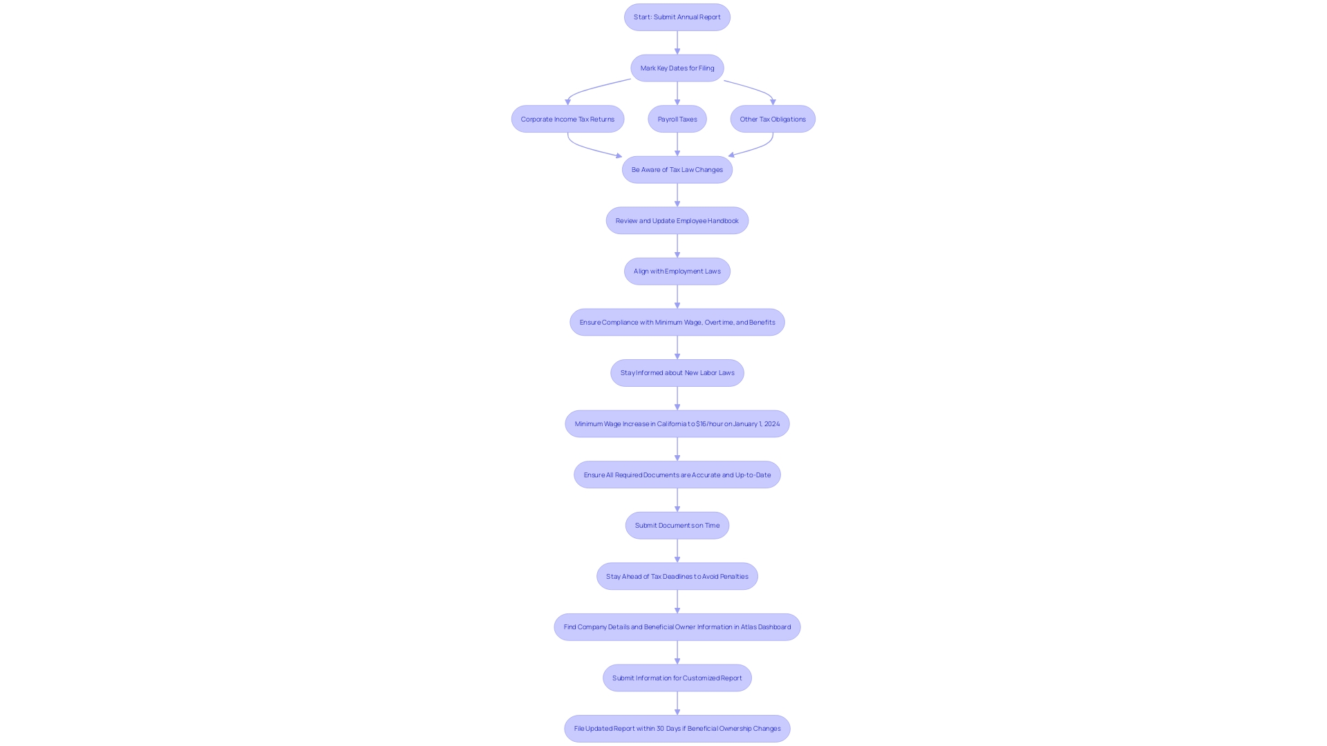 This flowchart outlines the process for submitting the Annual Report for entrepreneurs, highlighting key steps and considerations.