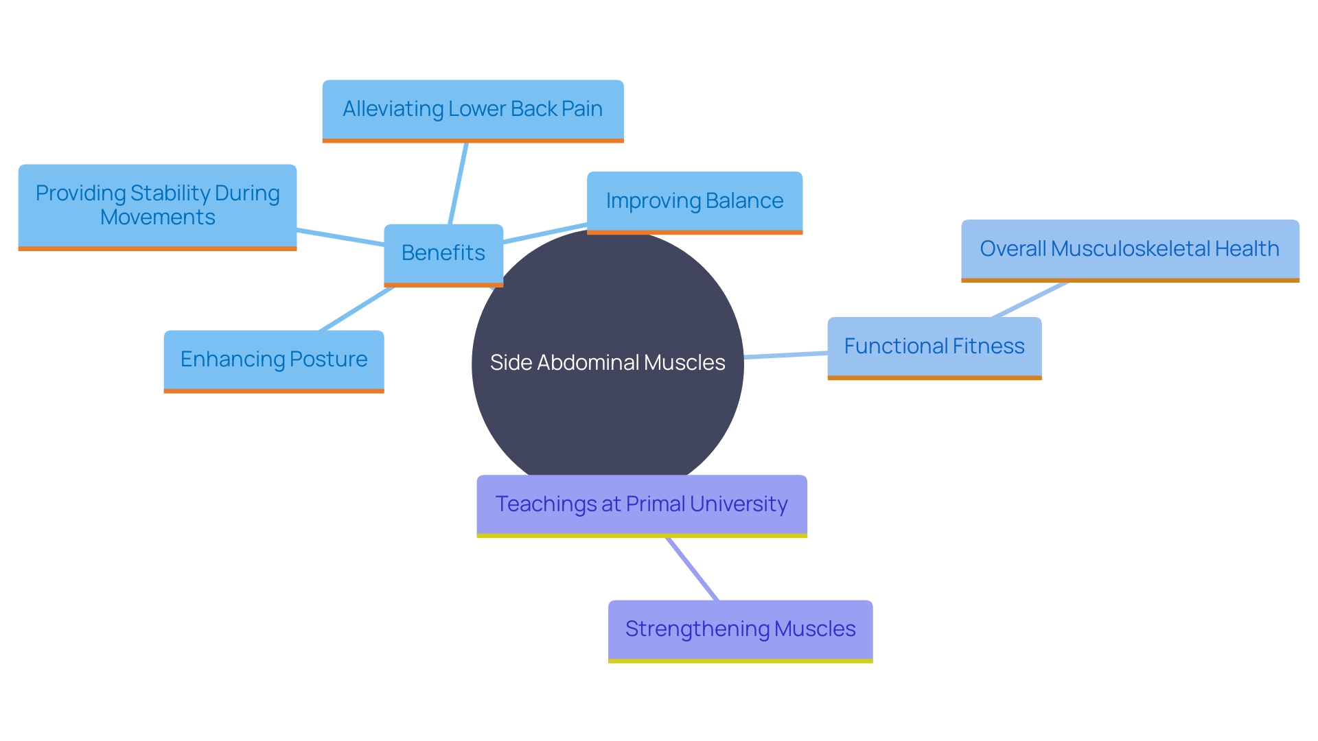 This mind map illustrates the importance of side abdominal muscles in core stability and overall health. It highlights their roles in posture, balance, dynamic movements, and pain relief.