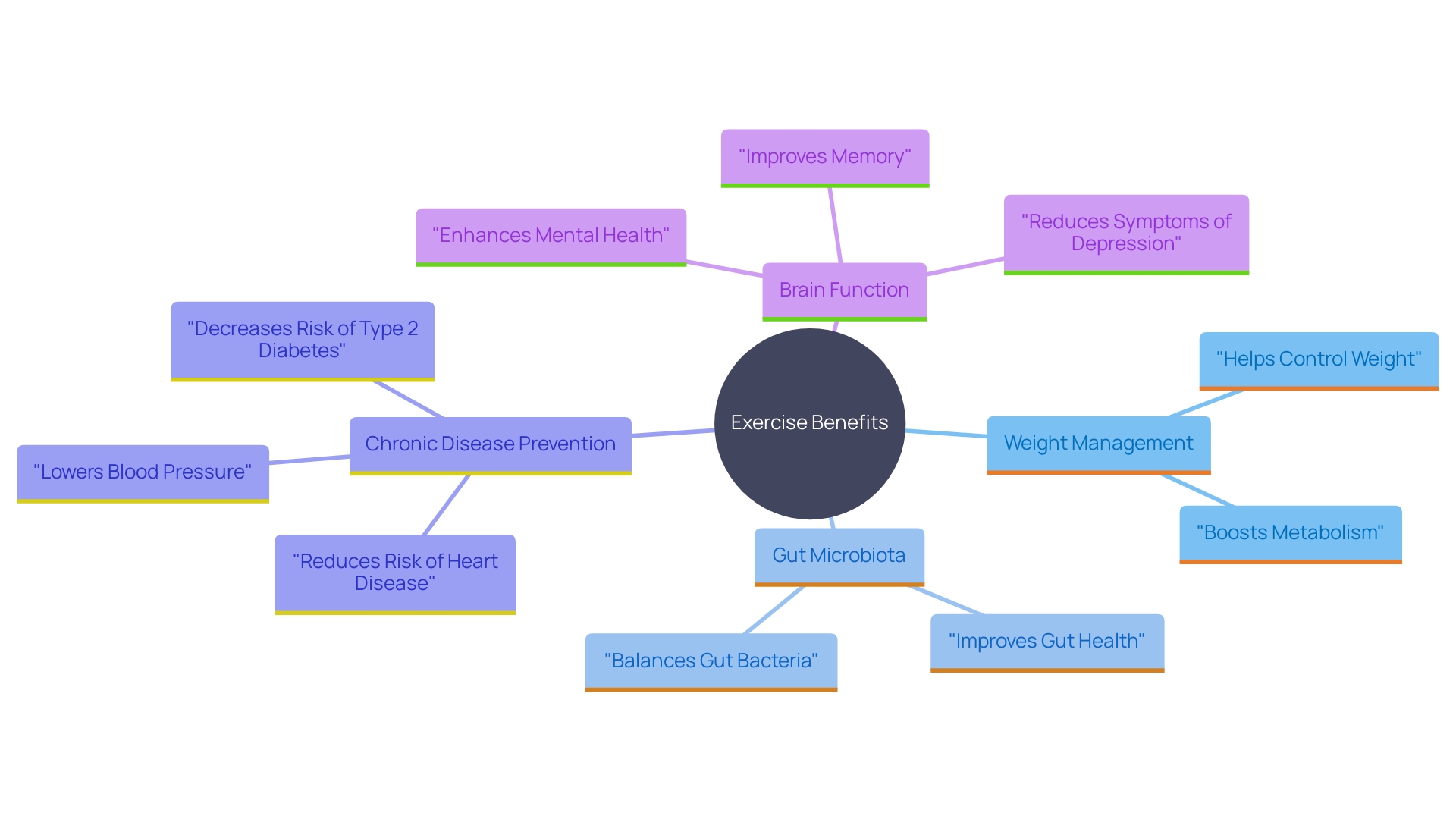 This mind map illustrates the interconnected benefits of consistent exercise on health, including its impact on weight management, gut microbiota, and chronic disease prevention.