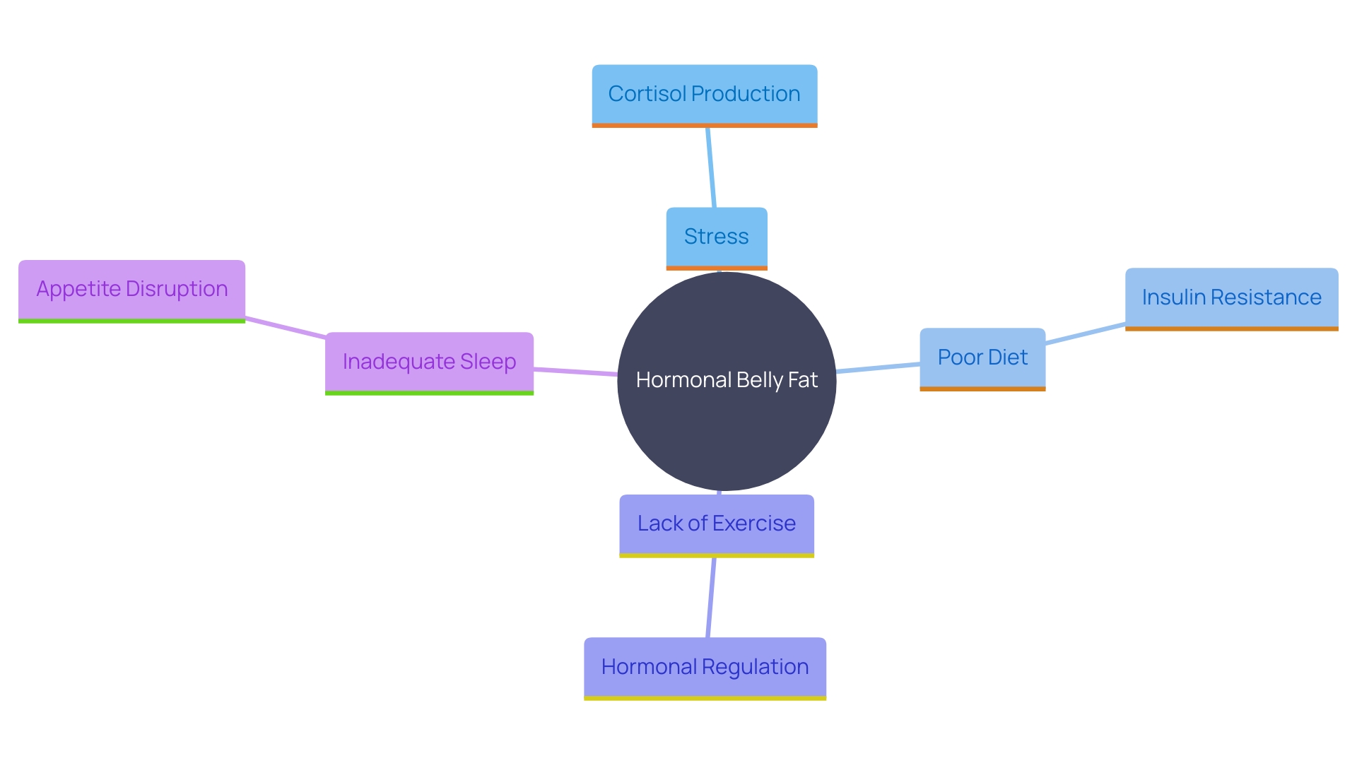 This mind map illustrates the interconnected factors contributing to hormonal belly fat, highlighting stress, diet, exercise, and sleep as key elements.