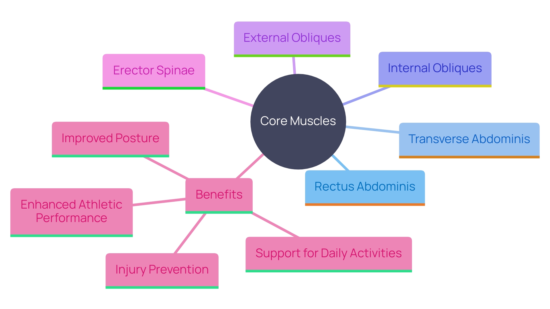 This mind map illustrates the key components and benefits of strengthening the core muscles in the body, highlighting their role in stability, movement coordination, and injury prevention.