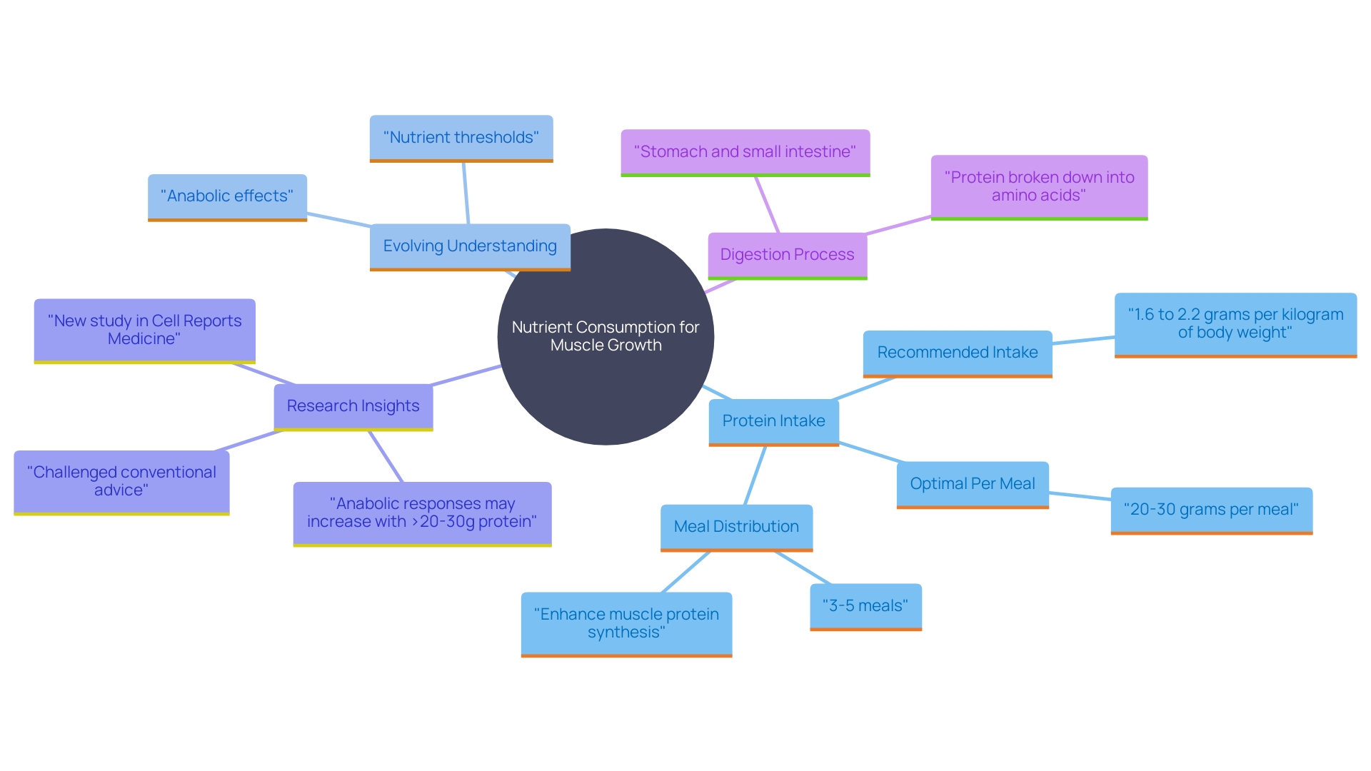 This mind map illustrates the key concepts related to nutrient consumption for muscle development, including the ideal nutrient range, meal distribution, and the impact on muscle protein synthesis (MPS).