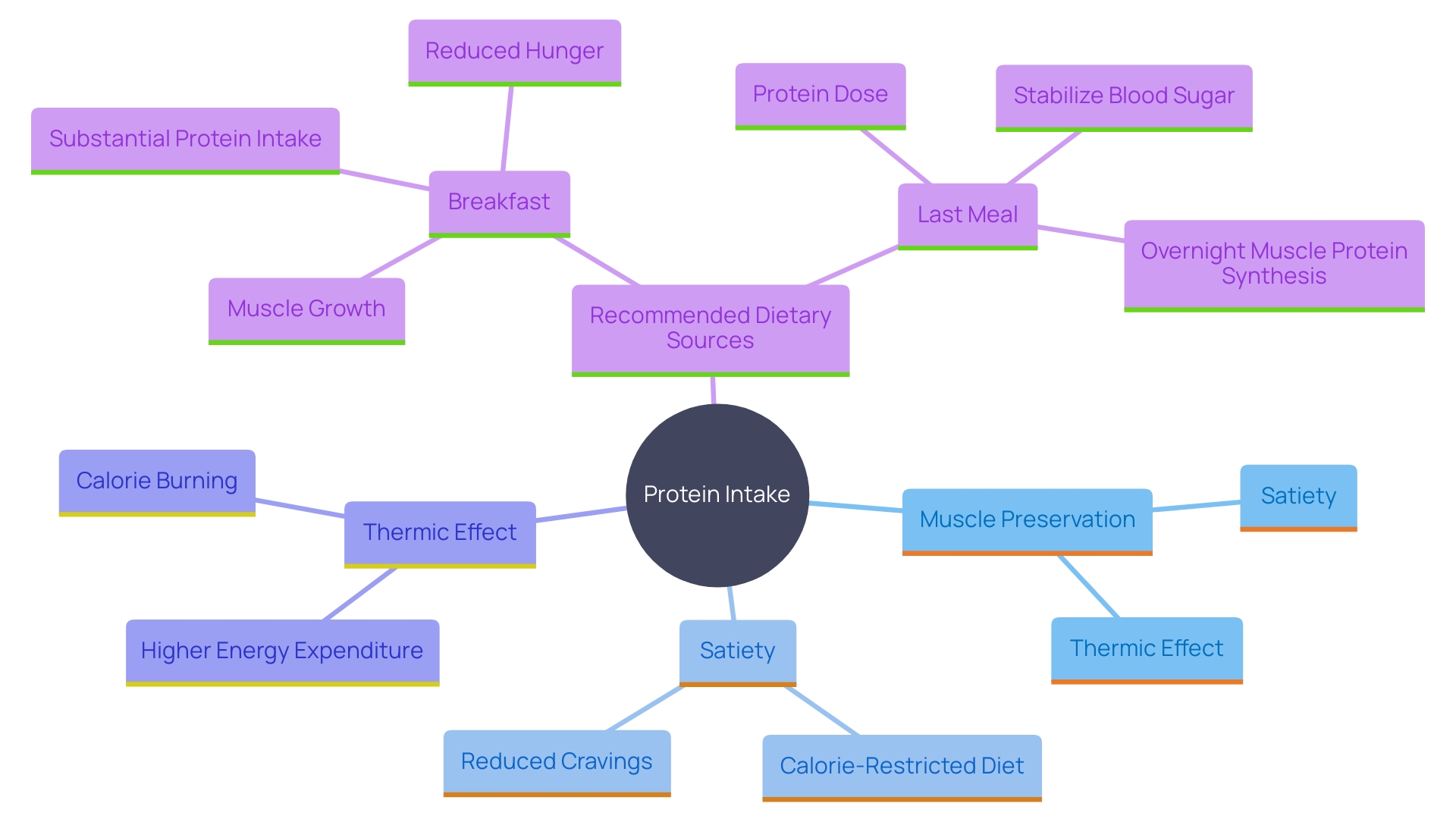 This mind map illustrates the key concepts related to protein intake and its benefits for muscle preservation and fat reduction.