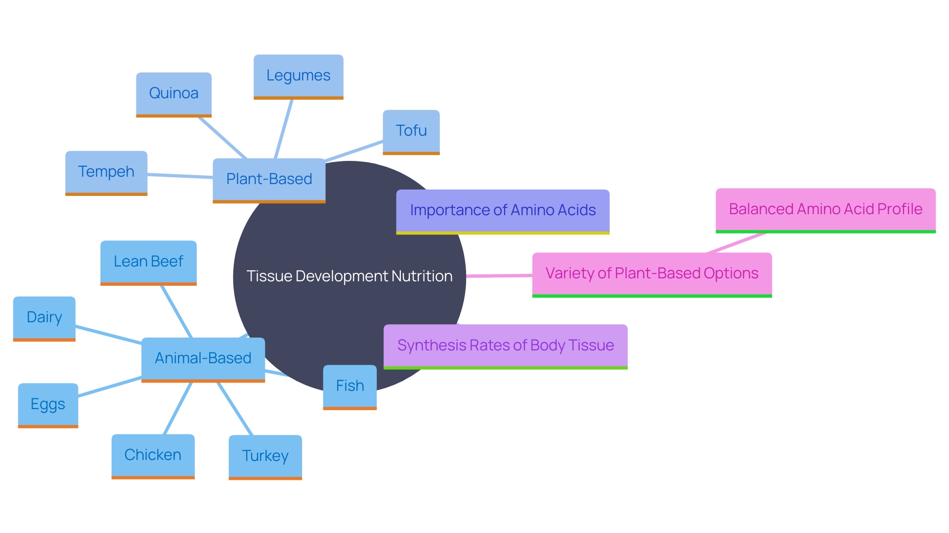 This mind map illustrates the key nutritional options for tissue development, categorizing them into animal-based and plant-based sources, along with their benefits and essential amino acid considerations.