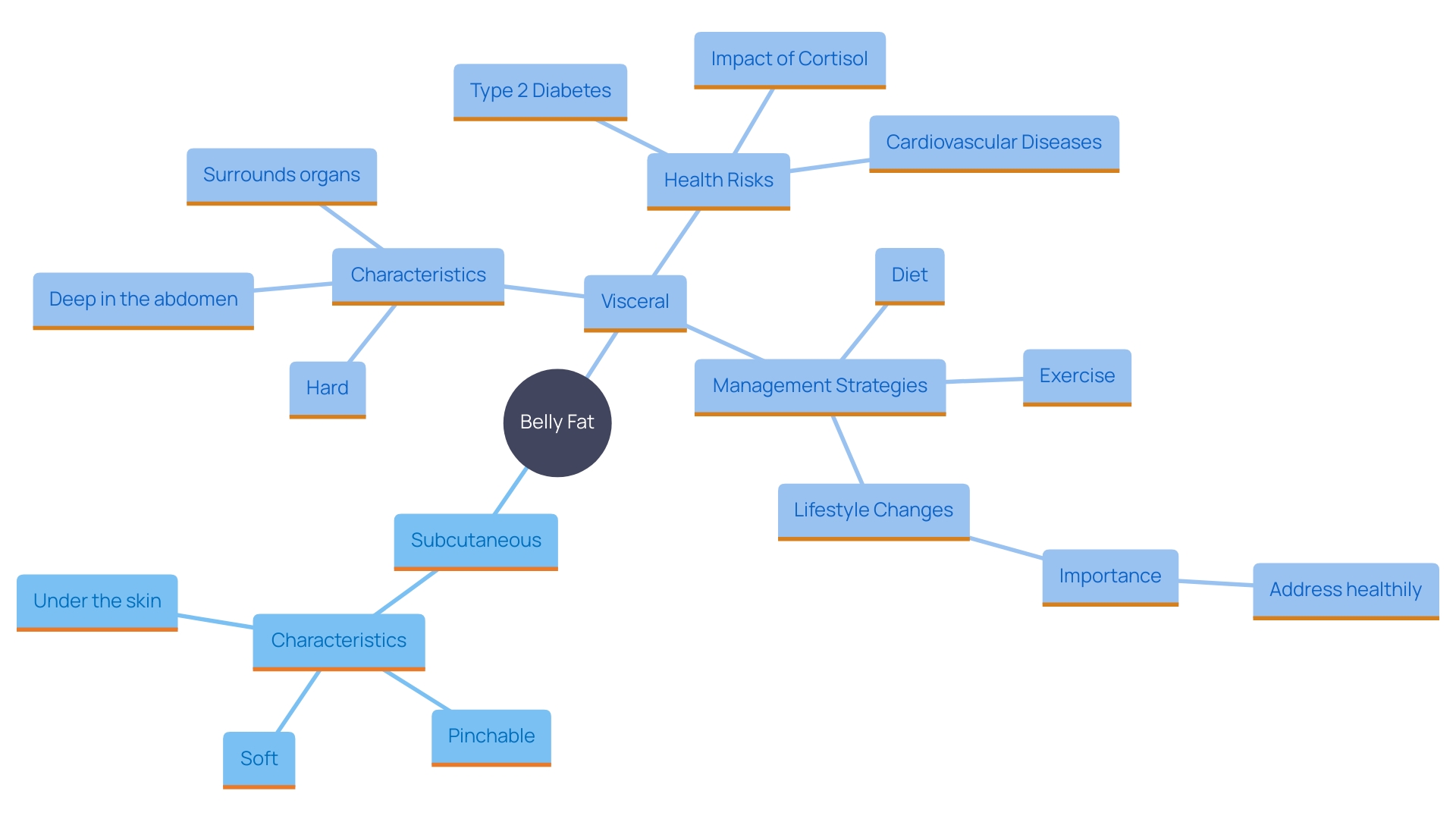 This mind map illustrates the relationship between types of belly fat, their health implications, and strategies for management.