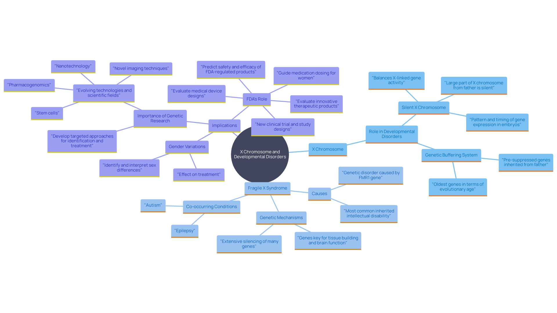 This mind map illustrates the relationships between genetic factors, gender differences, and developmental disorders associated with the X chromosome, highlighting key concepts such as genetic buffering in females and the impact of Fragile X syndrome.