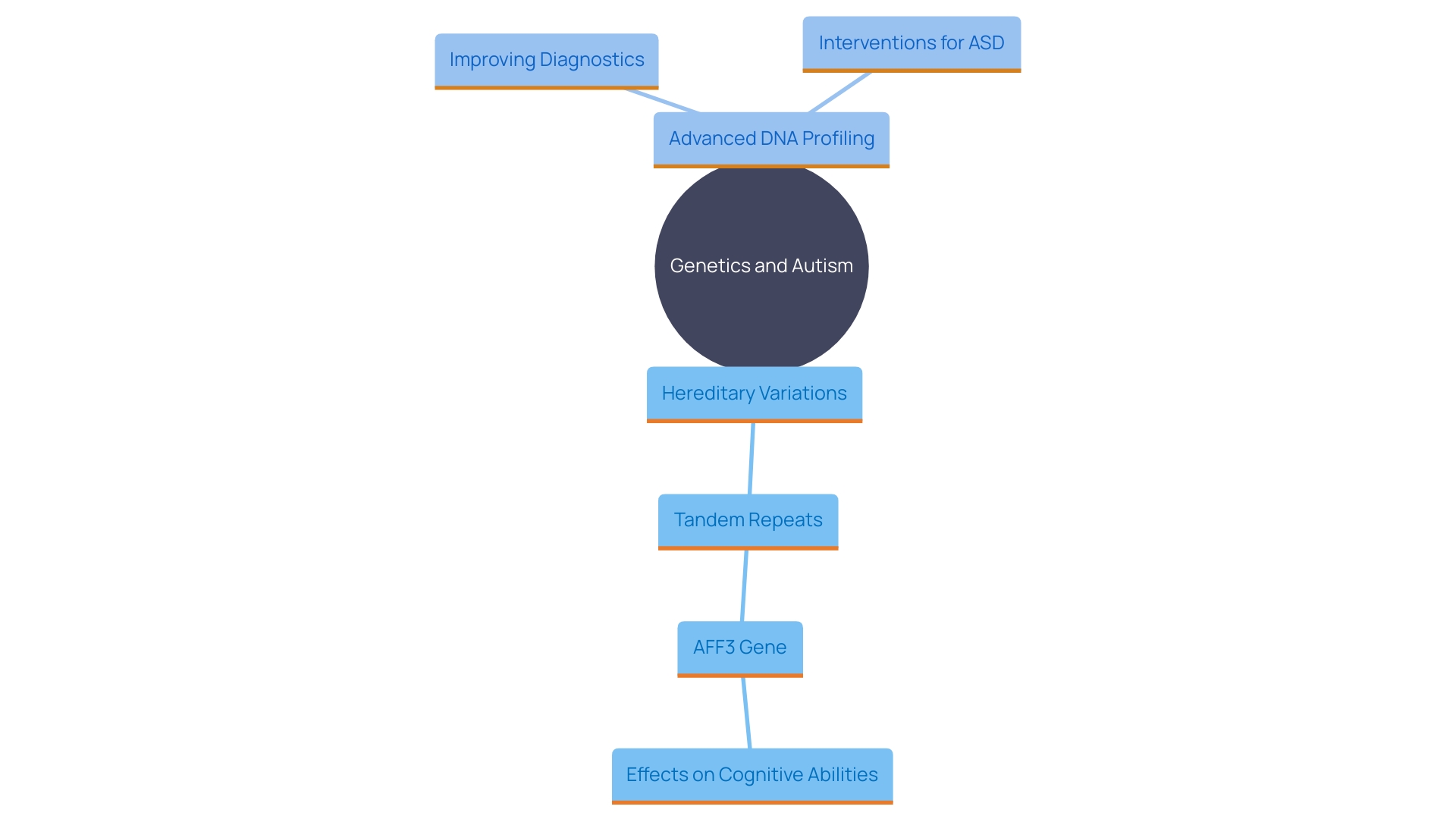 This mind map illustrates the relationships between genetics, autism spectrum disorder (ASD), and the impact of hereditary variations on cognitive abilities and educational attainment.