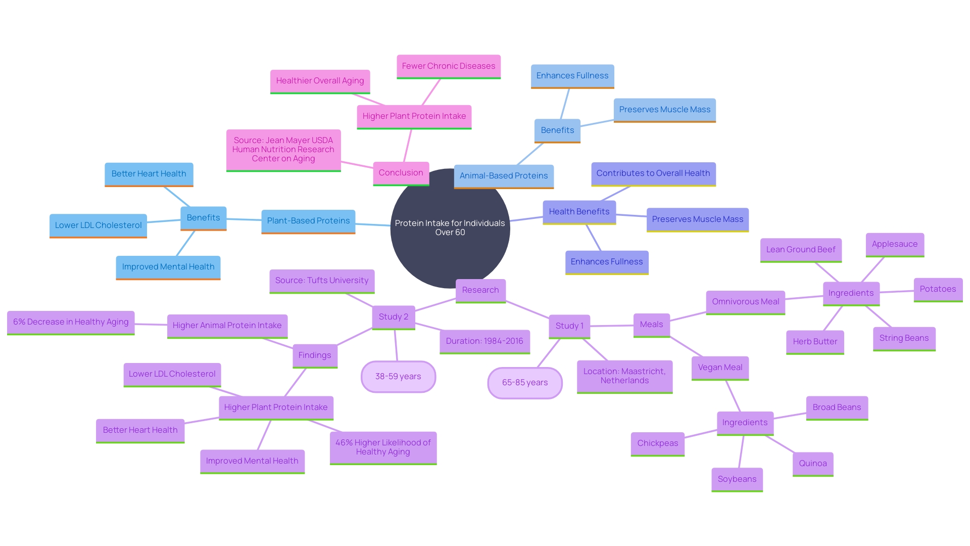 This mind map illustrates the relationships between high-protein food sources and their benefits for individuals over 60, emphasizing the impact of plant-based proteins on health and aging.