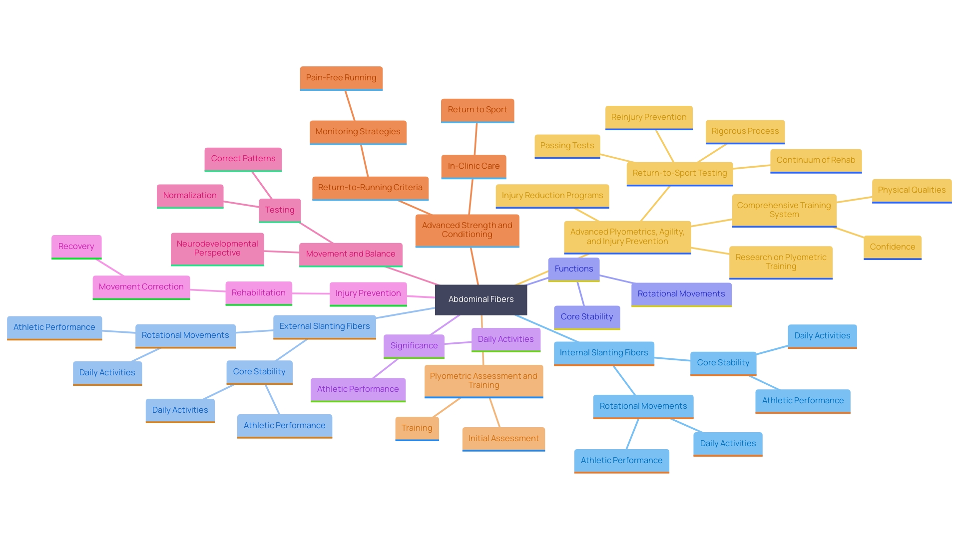 This mind map illustrates the relationships between the core muscle groups involved in core stability and functional fitness, highlighting their roles and the impact on performance and injury prevention.