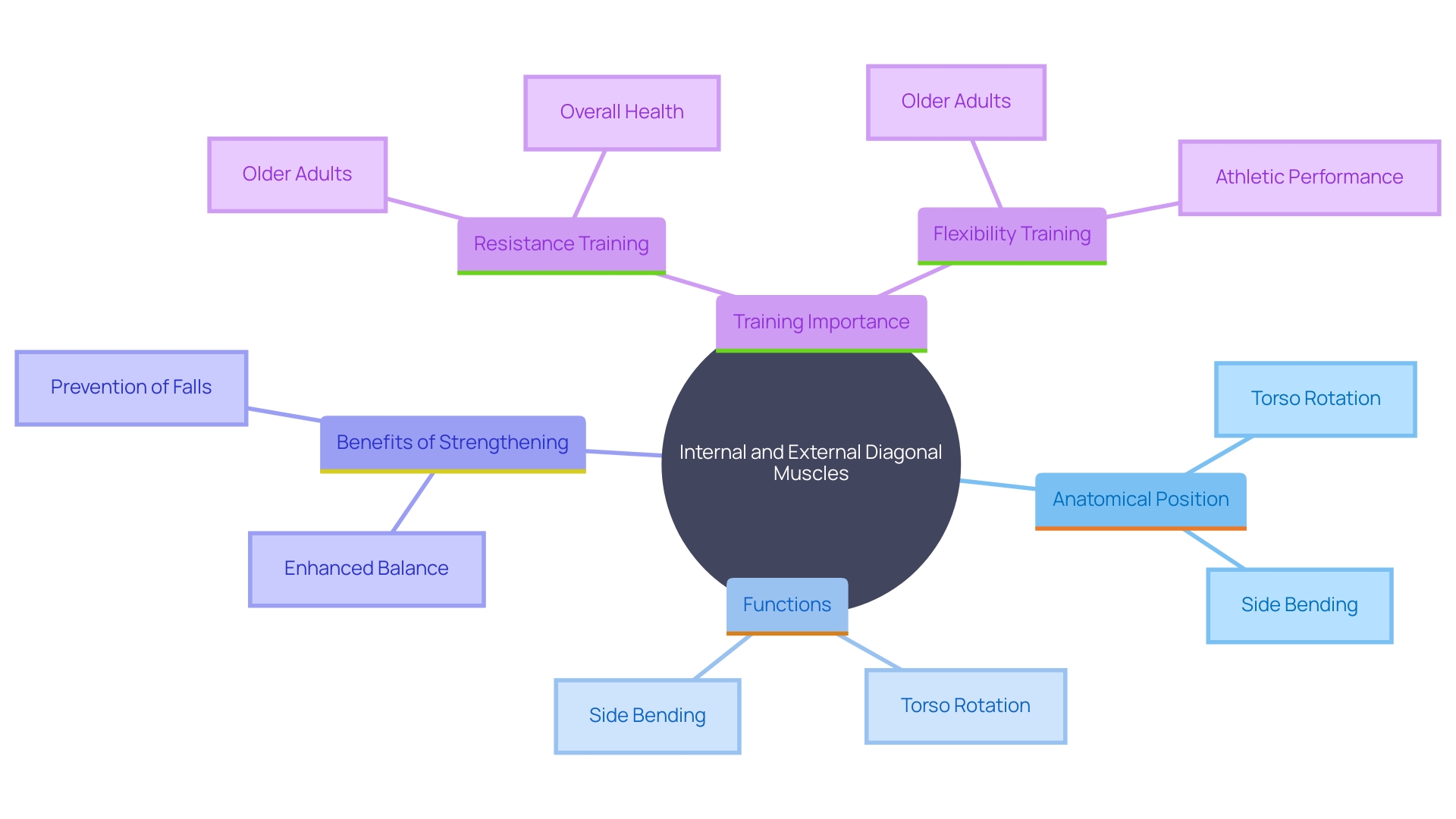 This mind map illustrates the relationships between the internal and external diagonal muscles, their functions, and the benefits of targeted training for core stability and athletic performance.