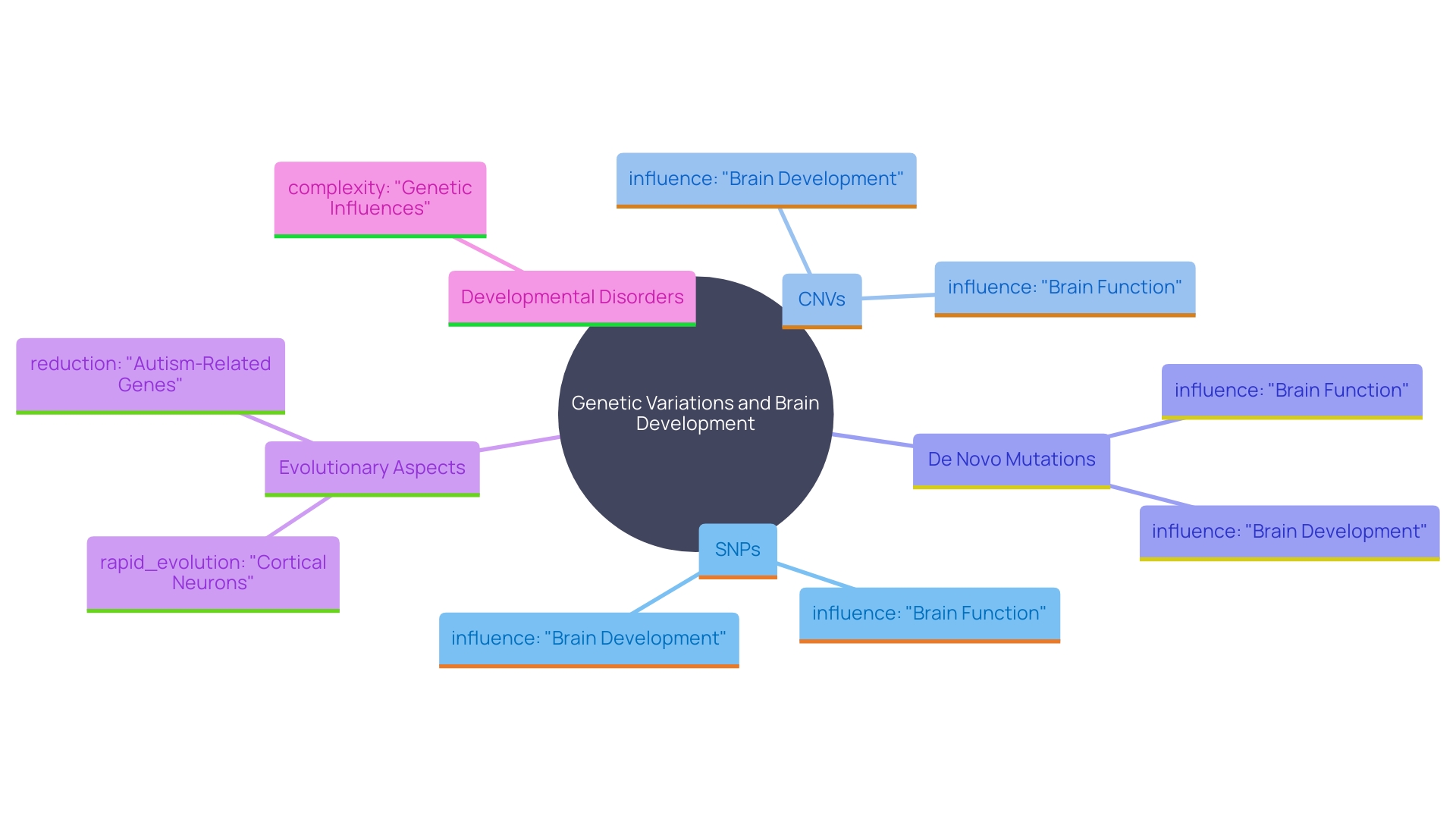 This mind map illustrates the various genetic variations contributing to developmental disorders, including SNPs, CNVs, and de novo mutations, and their impact on brain development and function.